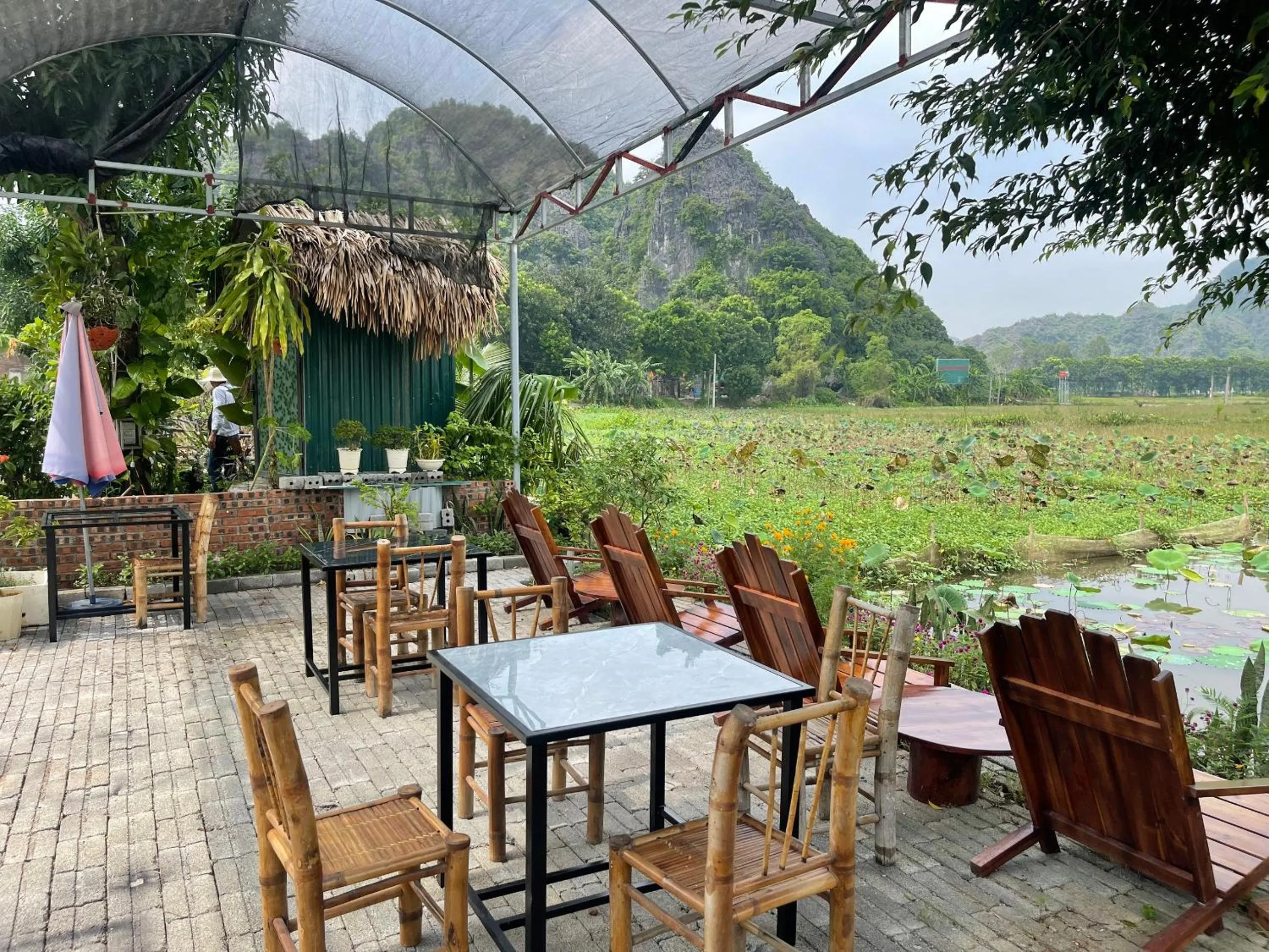 Tam Coc Mountain View Homestay