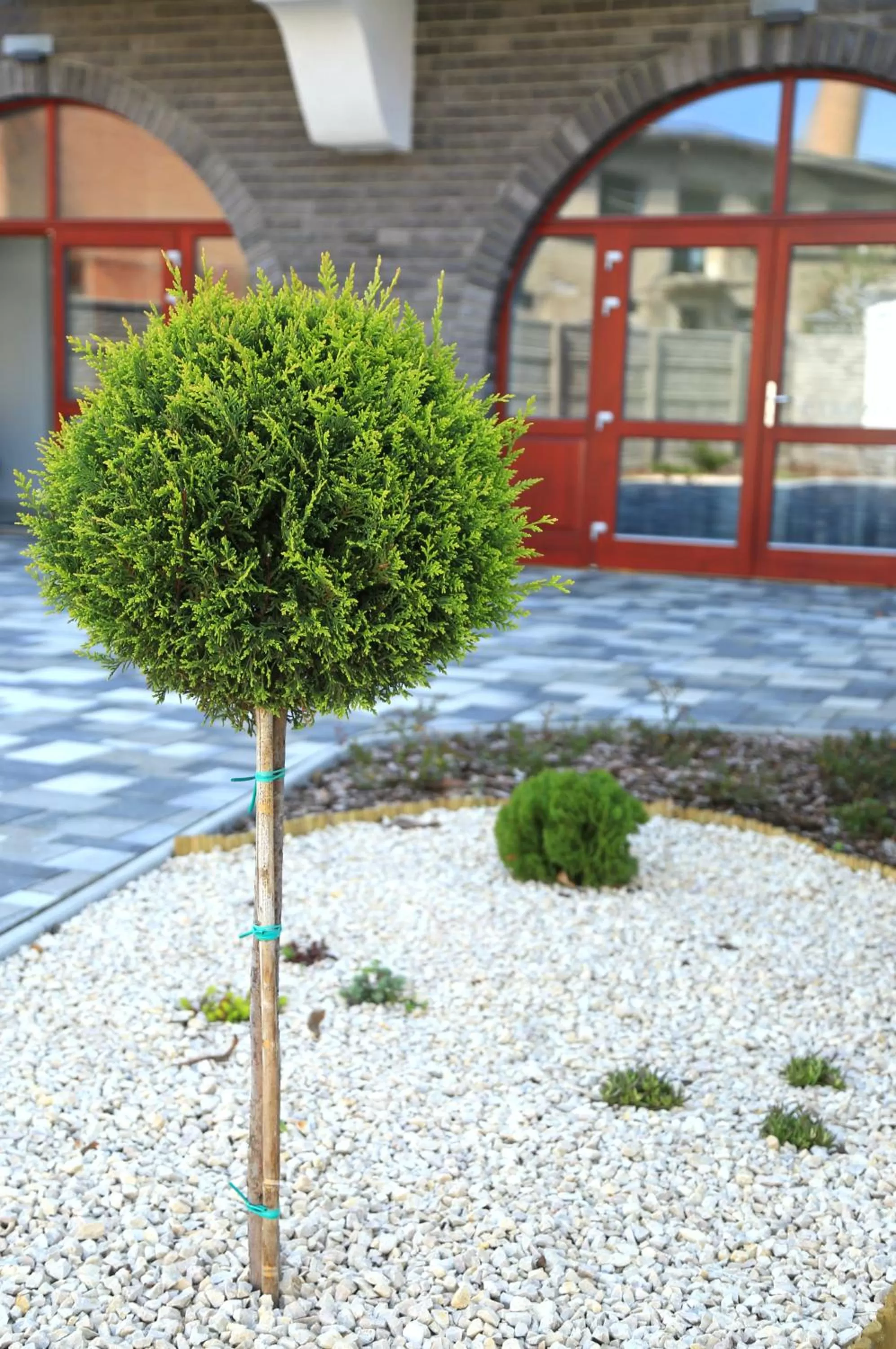 Garden in Sugó Panzió