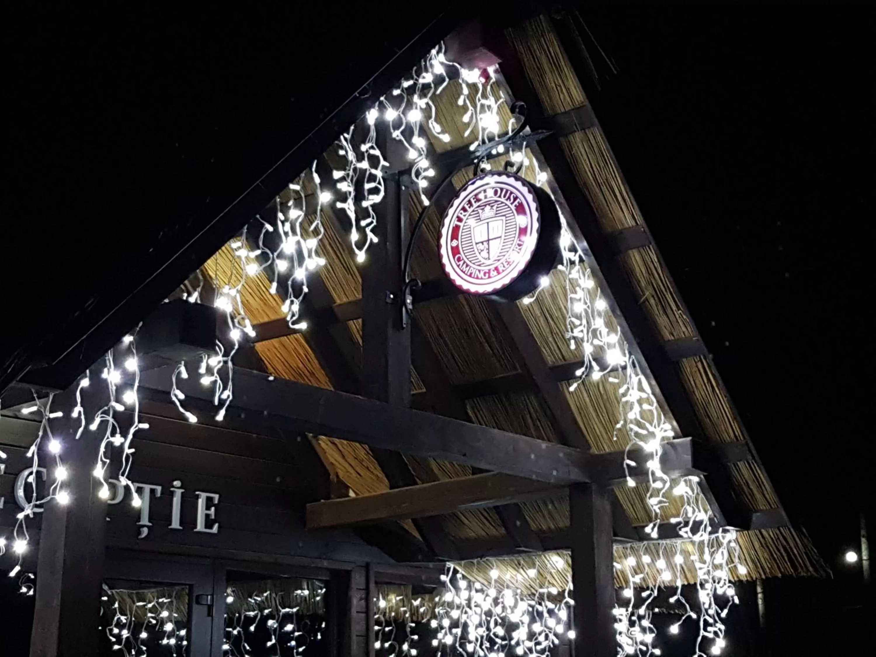 Property Building in Tree House Relax Park