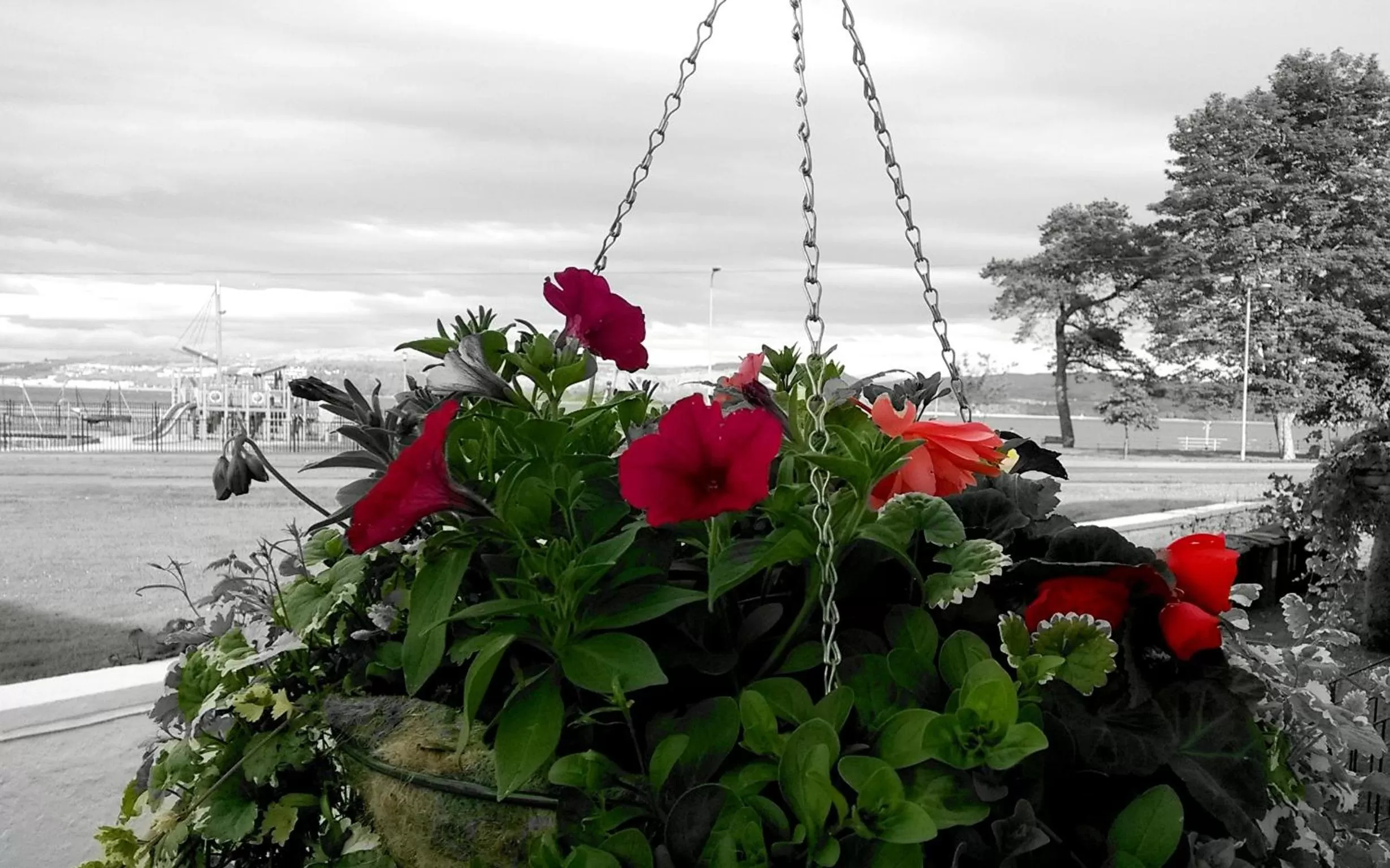 Sea view in The Park Hotel