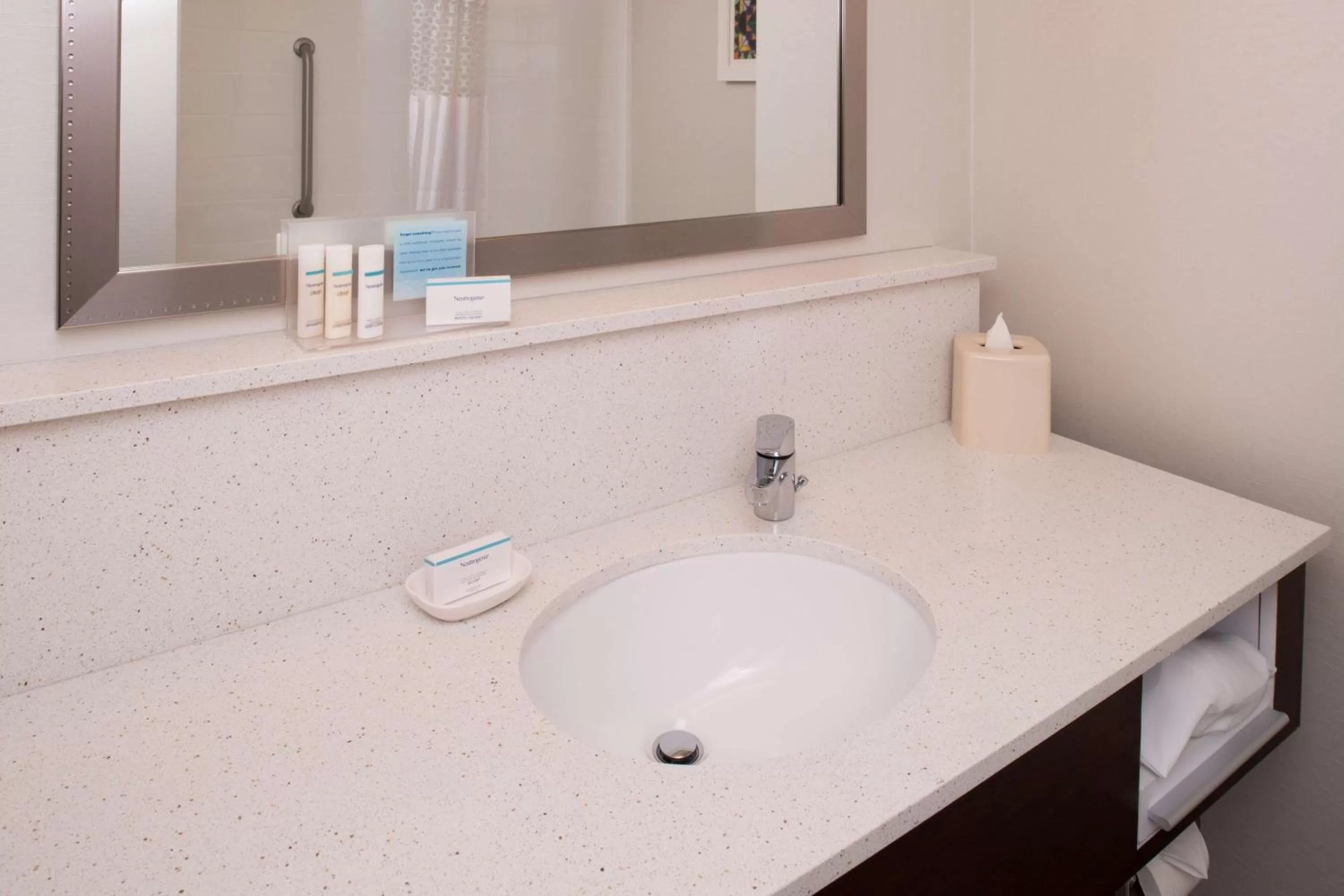 Bathroom in Hampton Inn and Suites Schertz