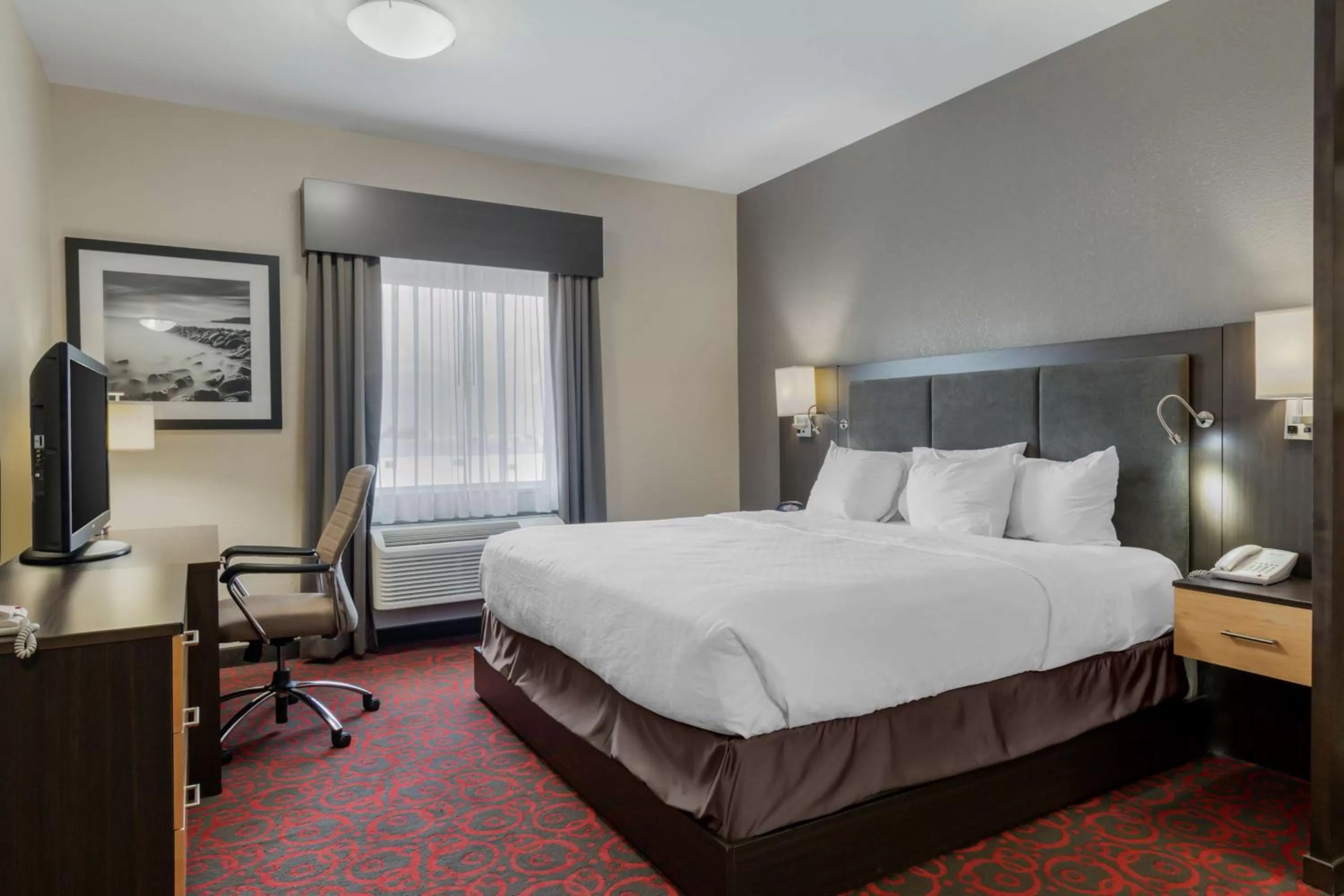 Queen Room with Roll-in Shower - Non-Smoking/Pet-Friendly in Best Western Plus Eastgate Inn & Suites