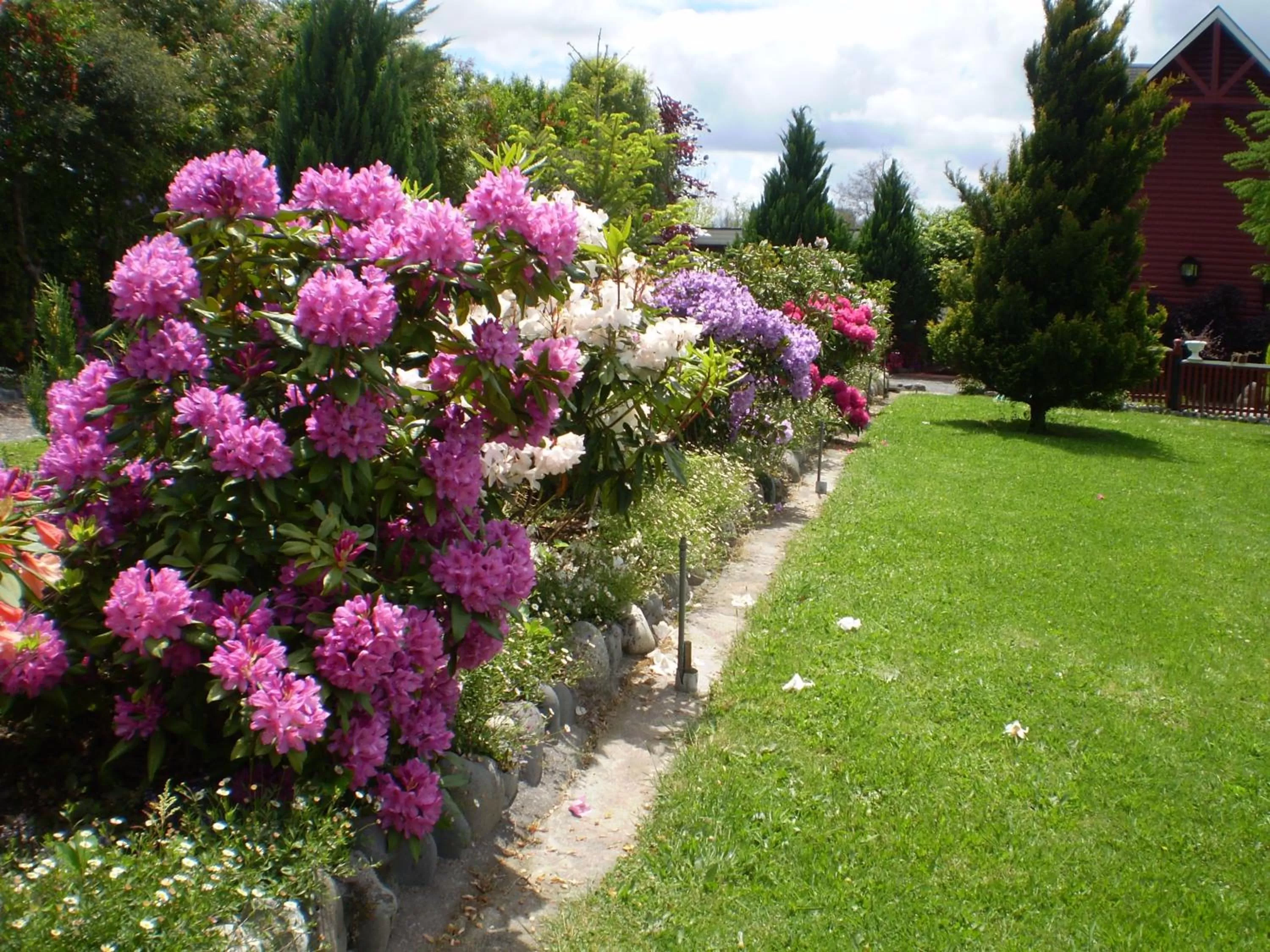 Garden in Hostal Möller