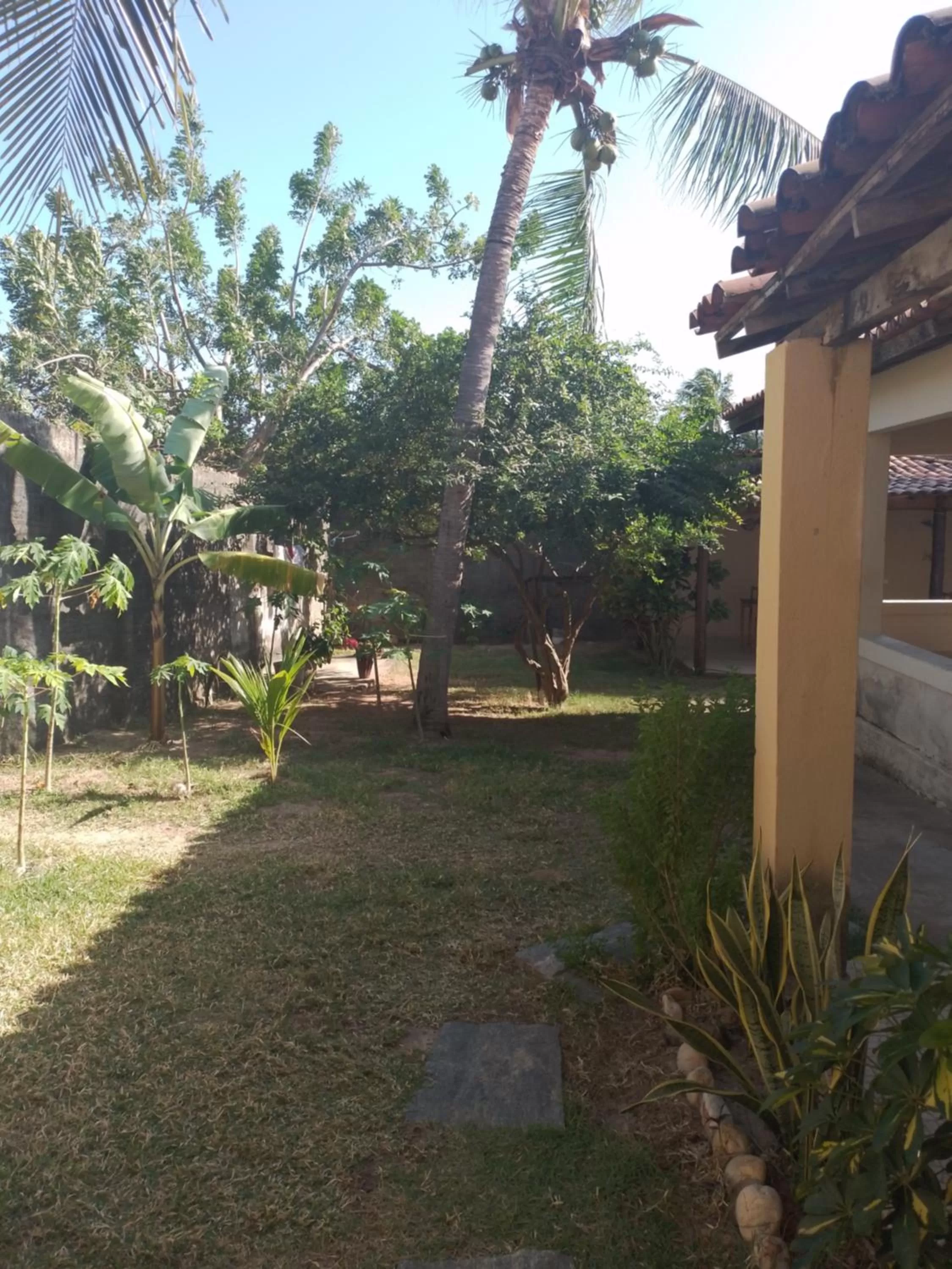 Garden in B&B Pedra do Meio