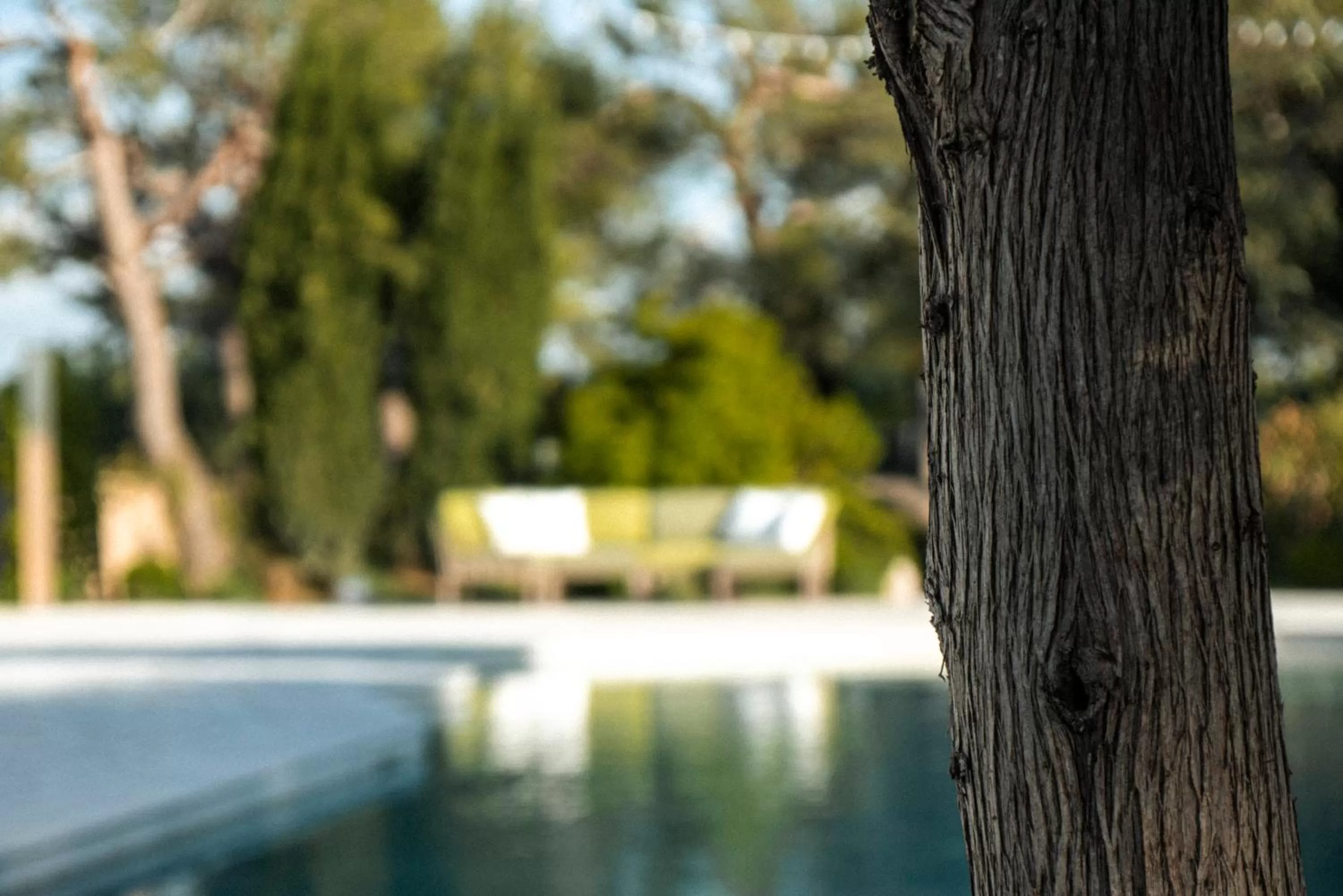 Swimming Pool in Otto Apulia House