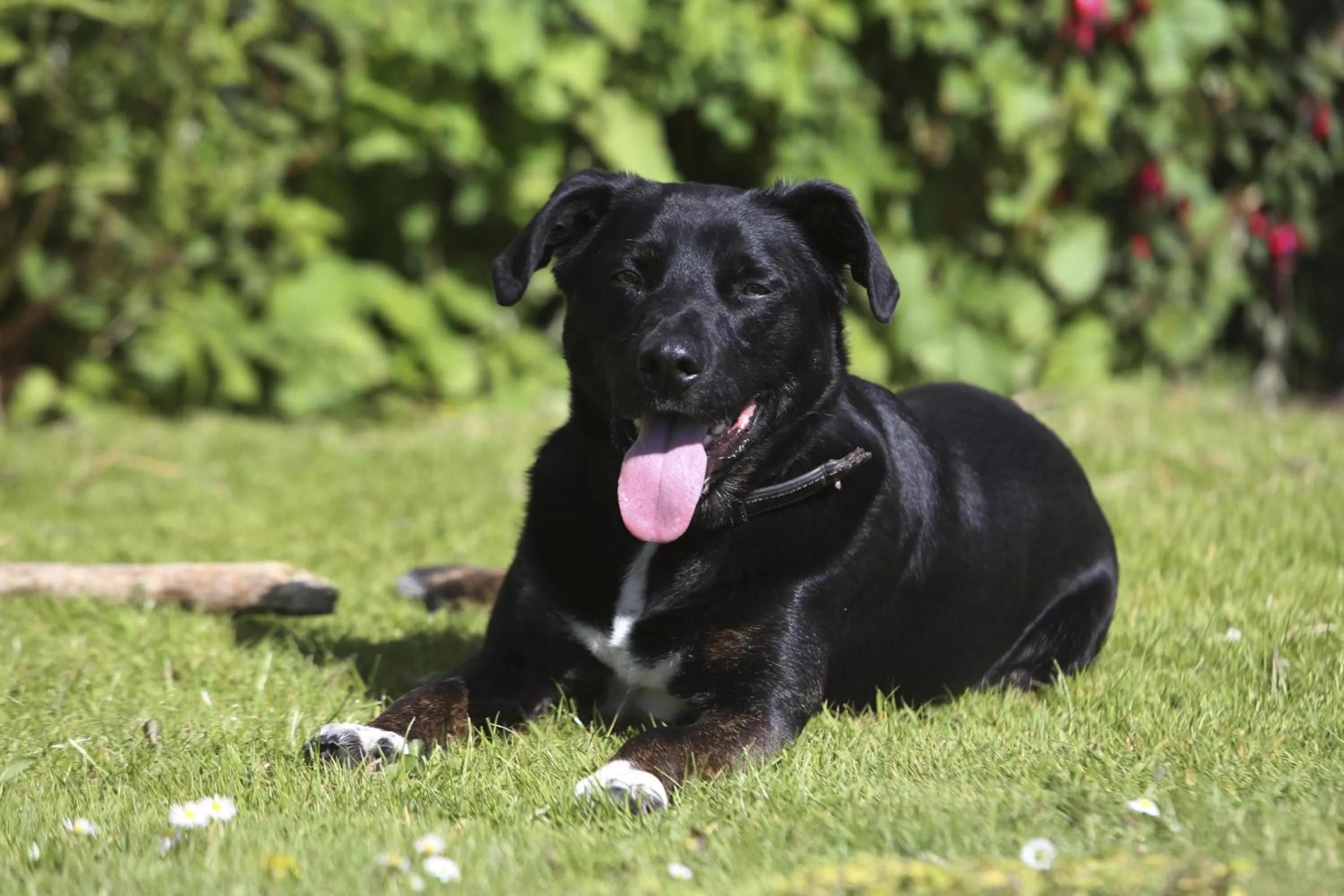Staff in Best Western Fowey Valley