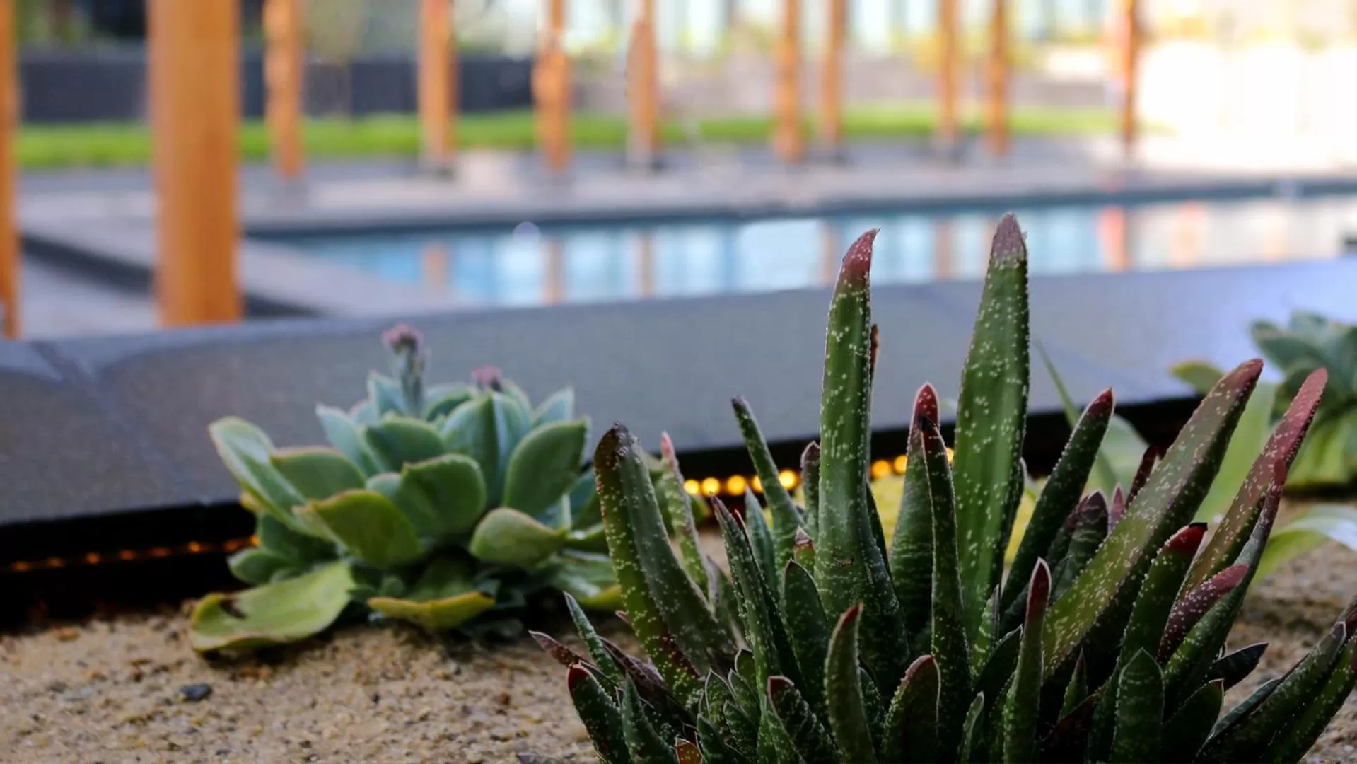 Swimming pool in QUARTZ HOTEL & SPA