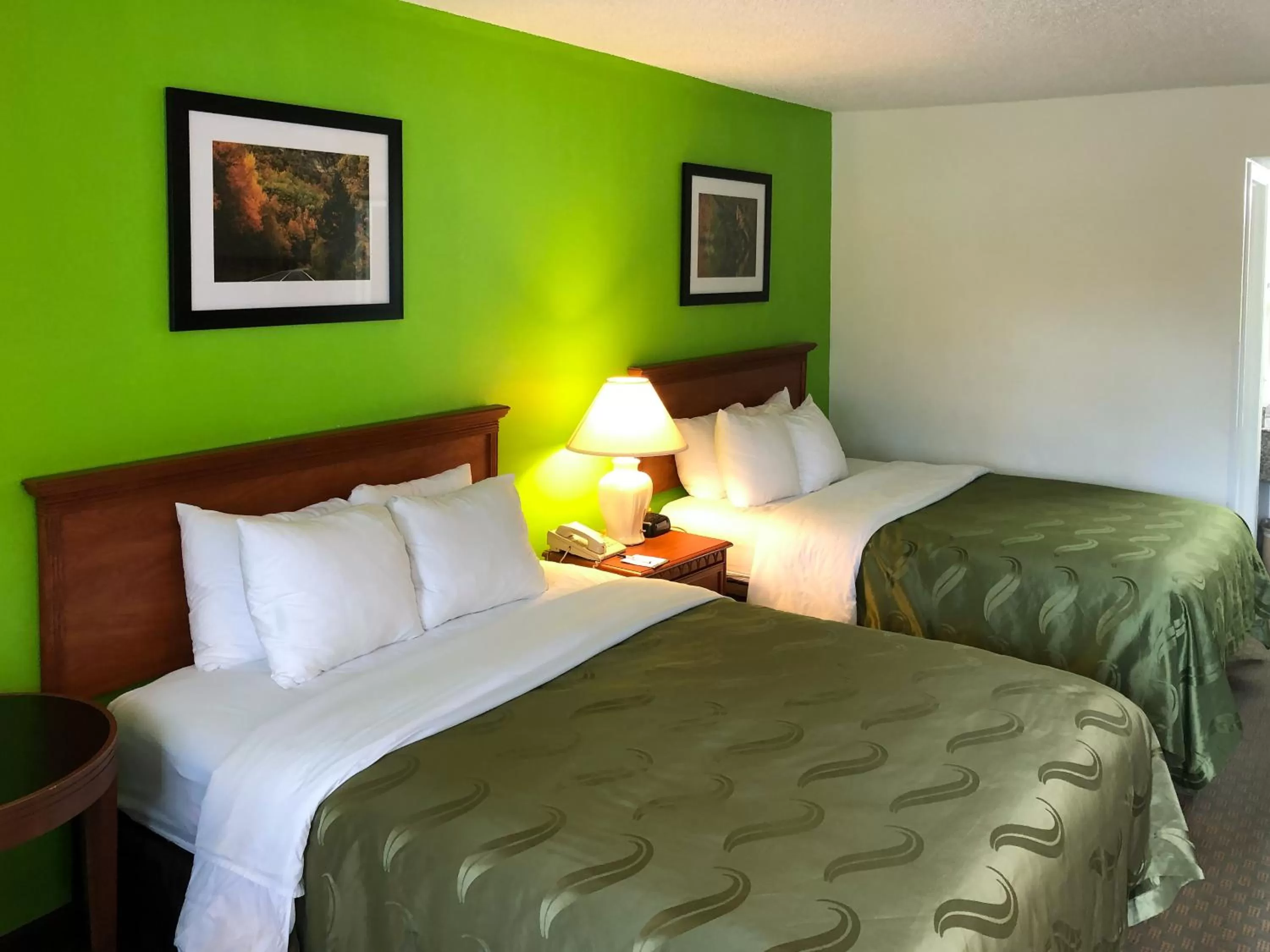 Pets, Bed in Quality Inn & Suites Alma I-40