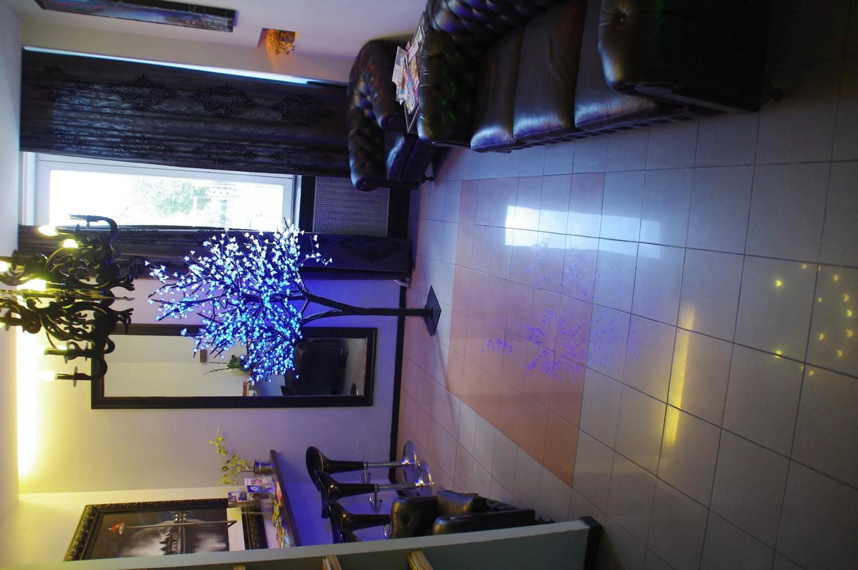 Lobby or reception in Hotel Esplanade