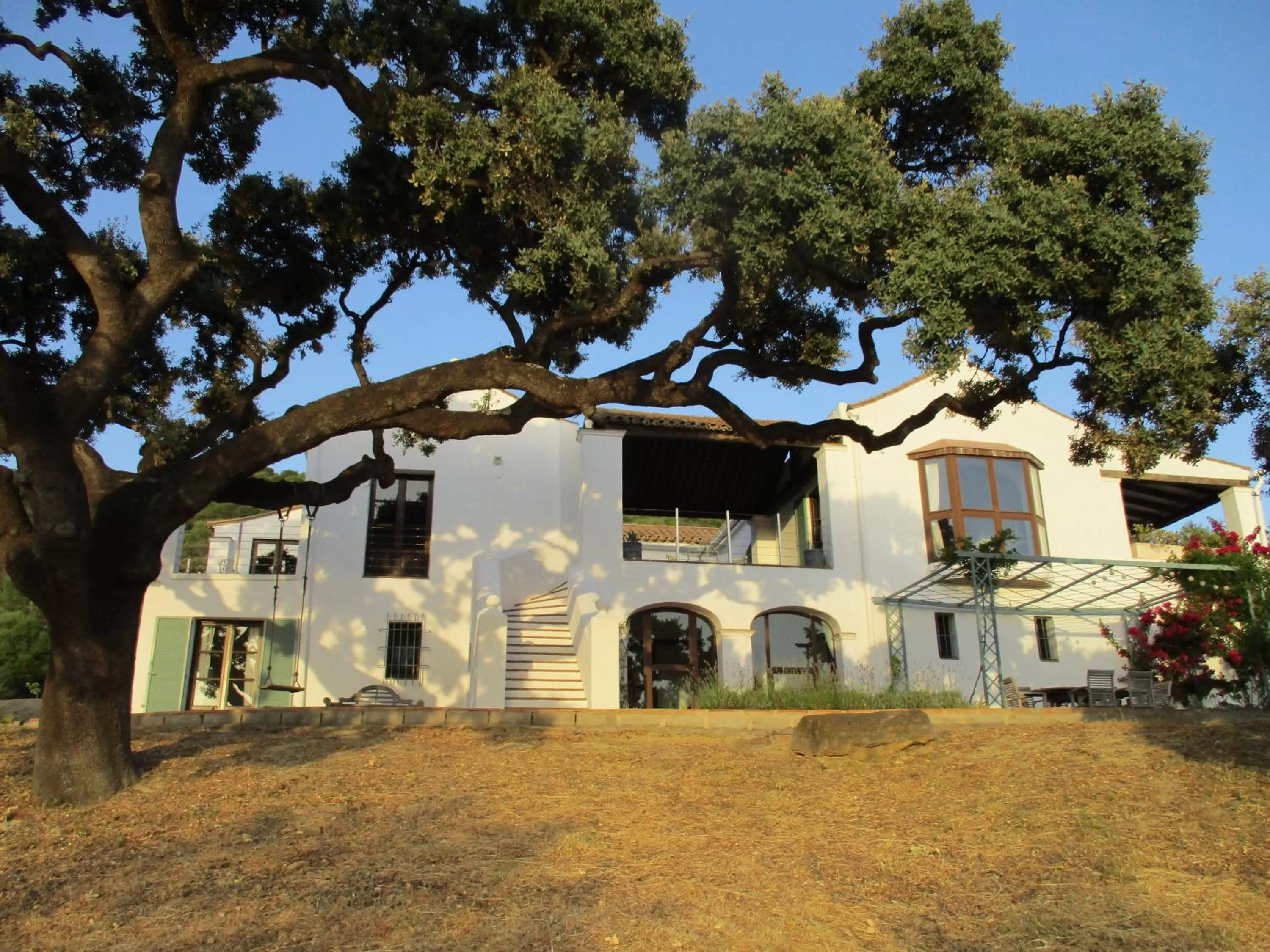 Property Building in Casa Laibon