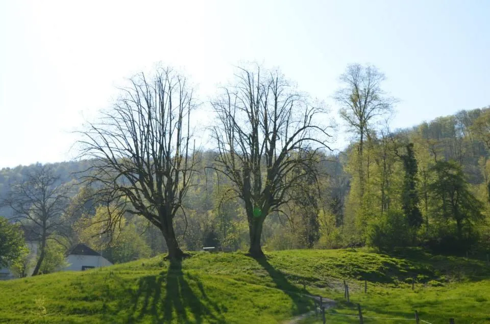 Day in Bad Schauenburg