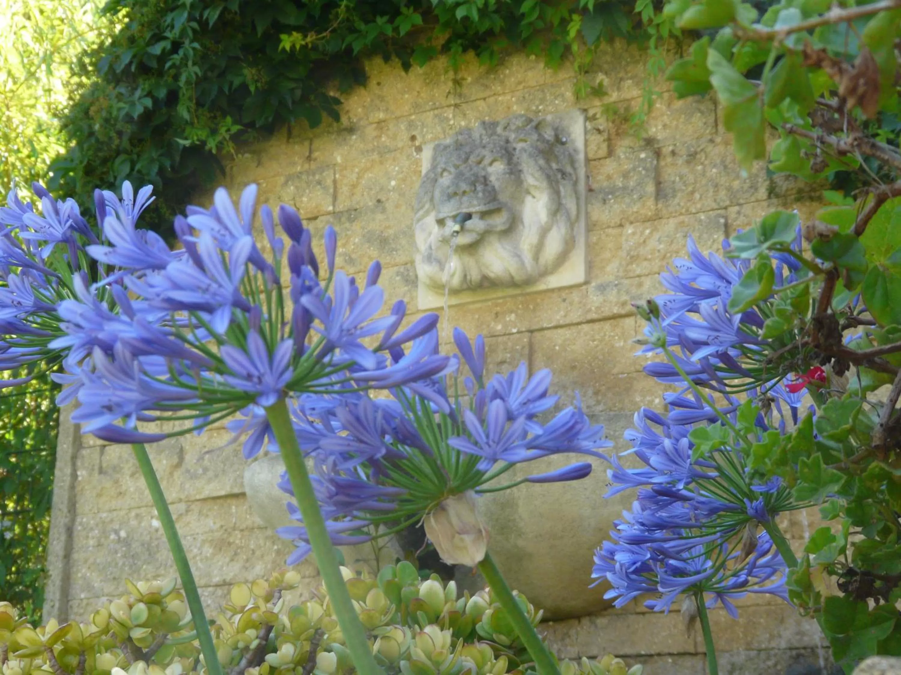 Garden in L' Escapade Hôtel & Restaurant