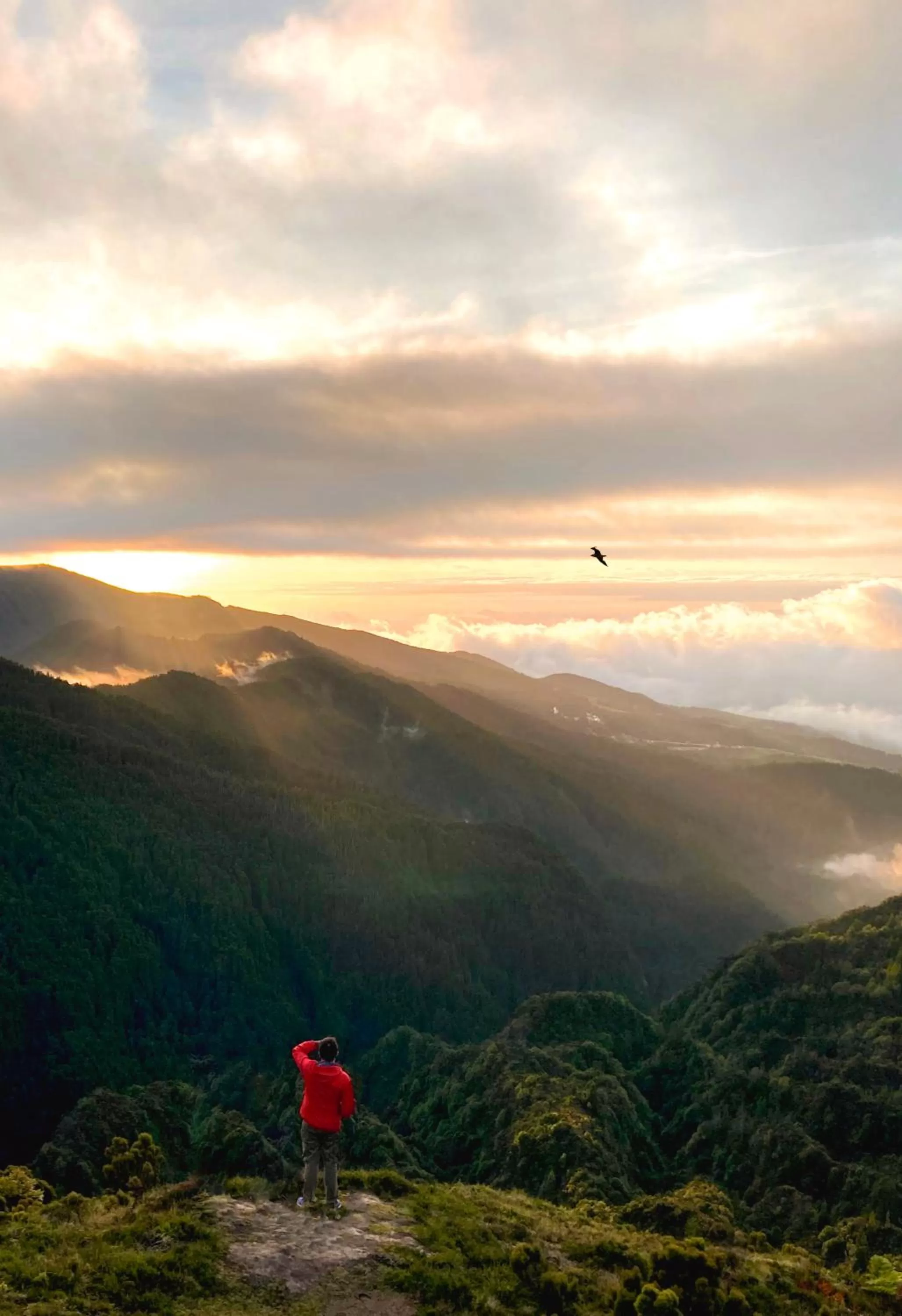 Natural landscape in Hotel Do Colegio