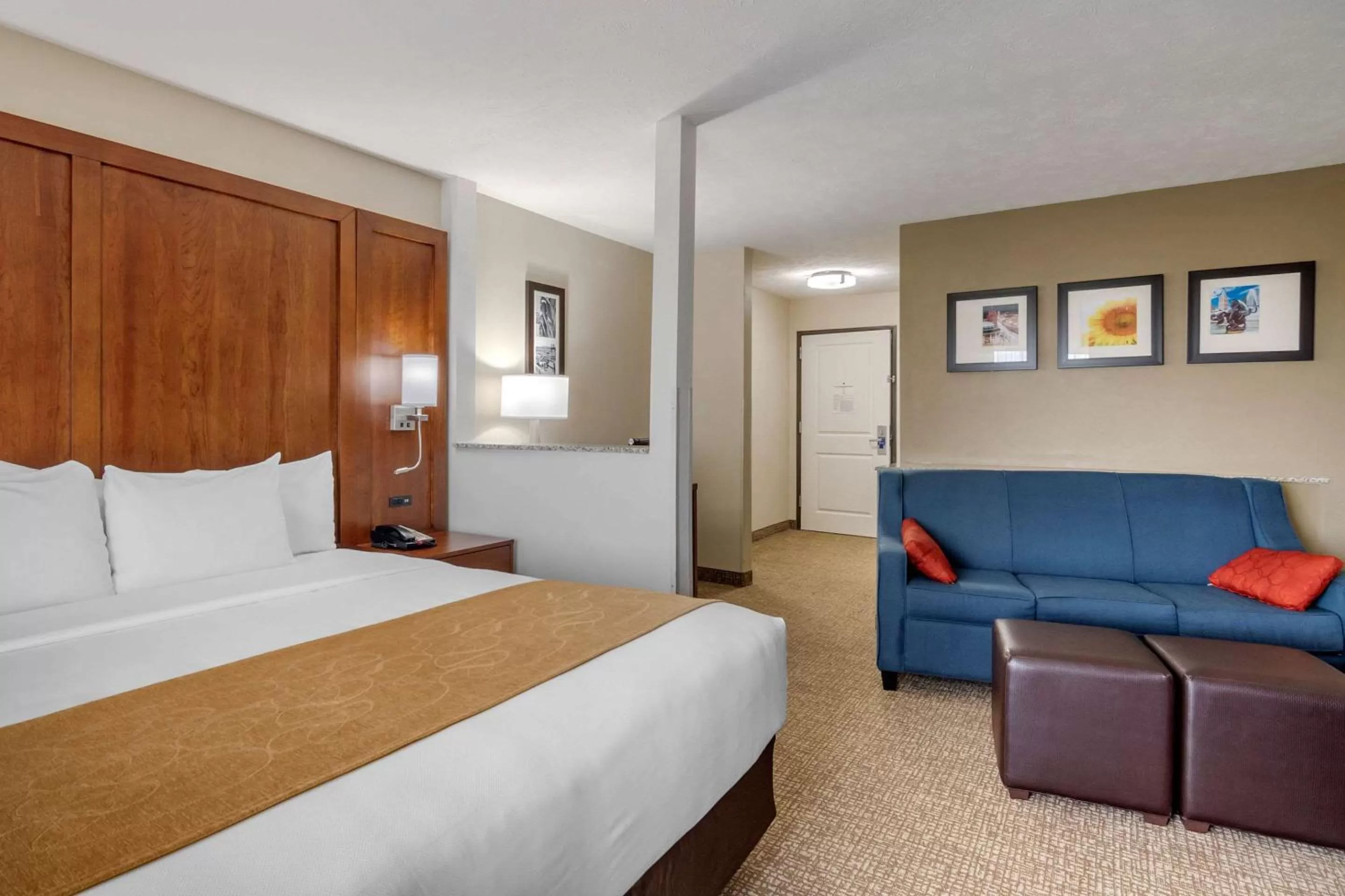 Executive King Suite in Comfort Suites Speedway - Kansas City
