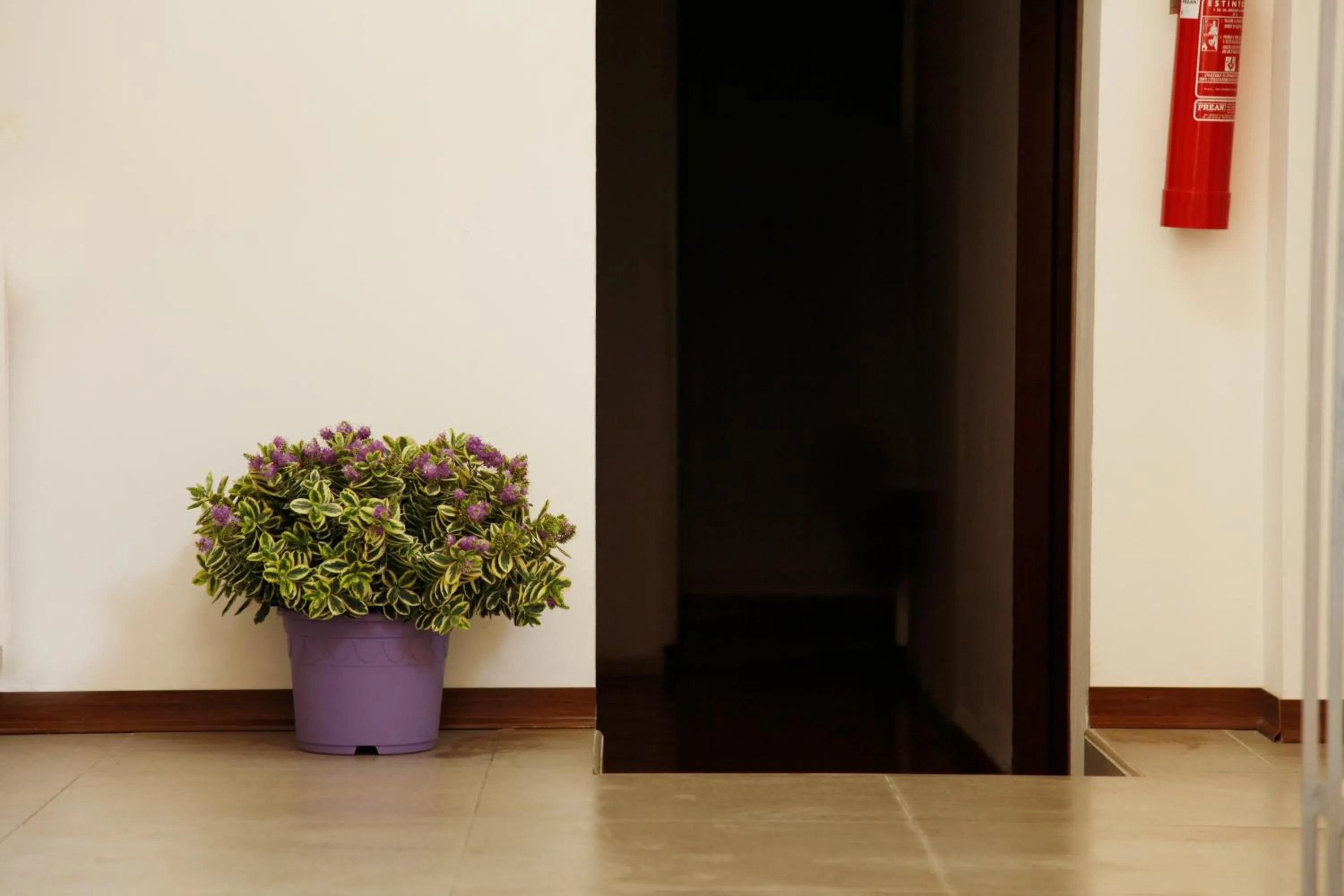 Decorative detail in HOTEL Poma