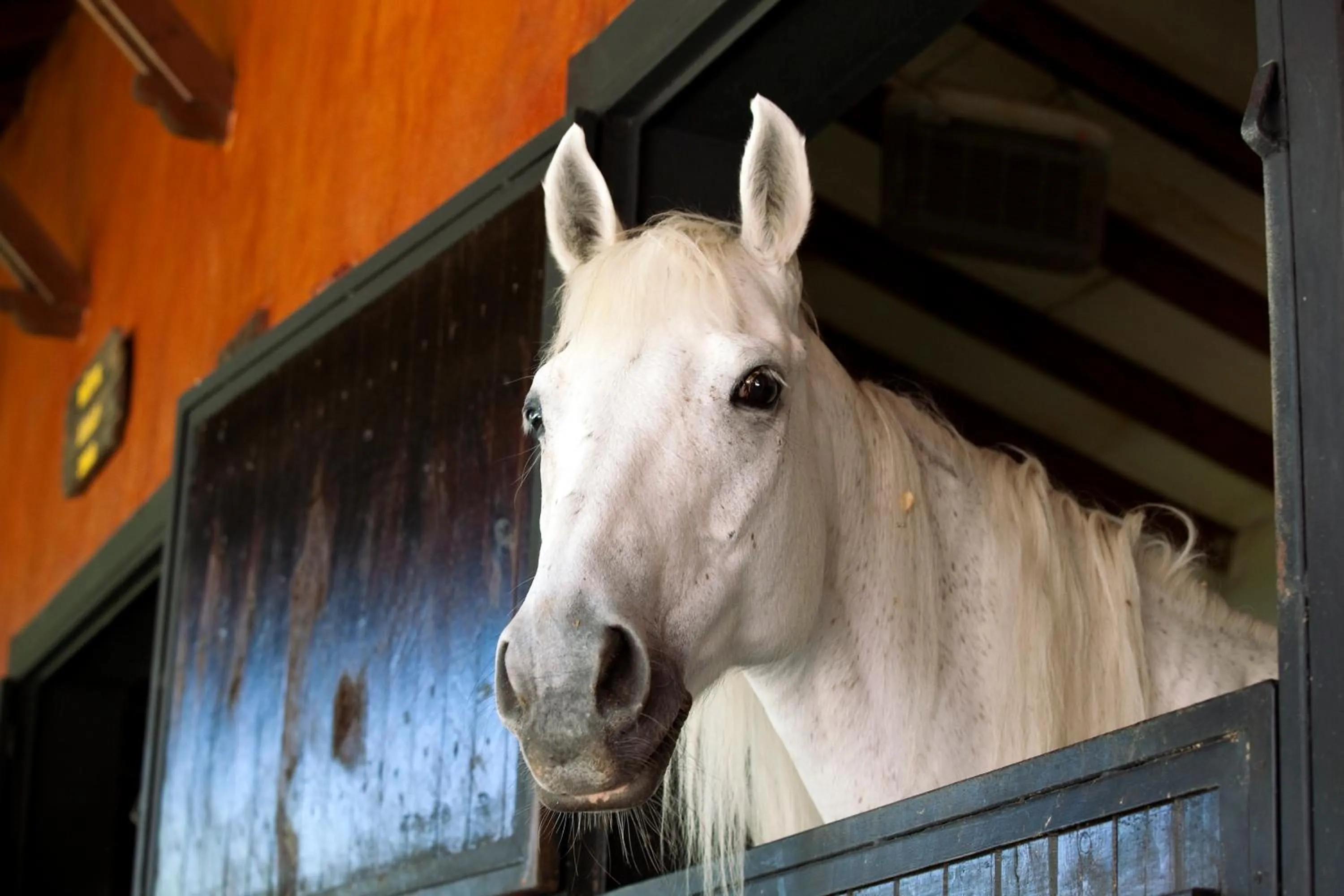 Other in Hotel Berke Ranch&Nature
