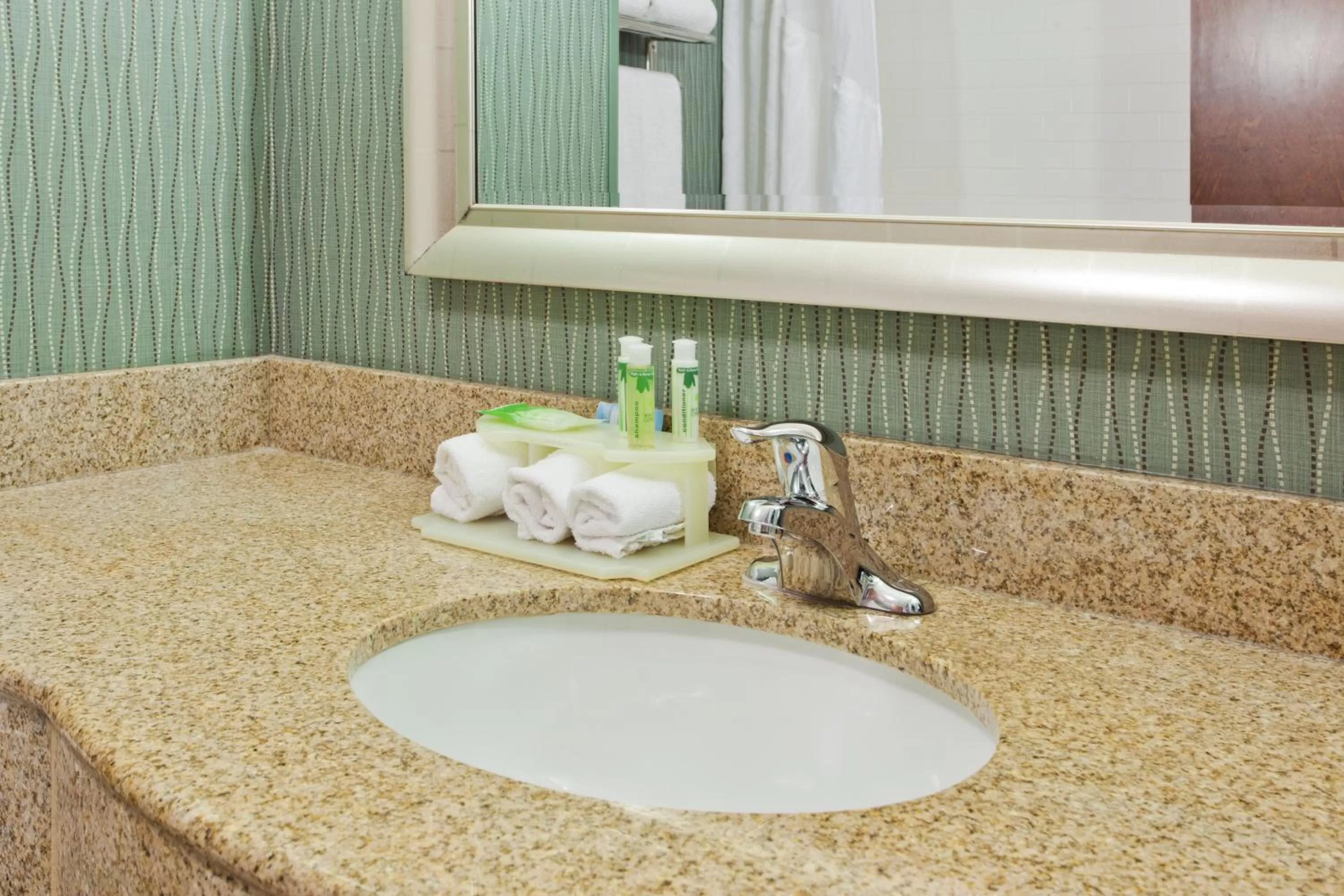Bathroom in Holiday Inn Express Hotel & Suites Cordele North by IHG