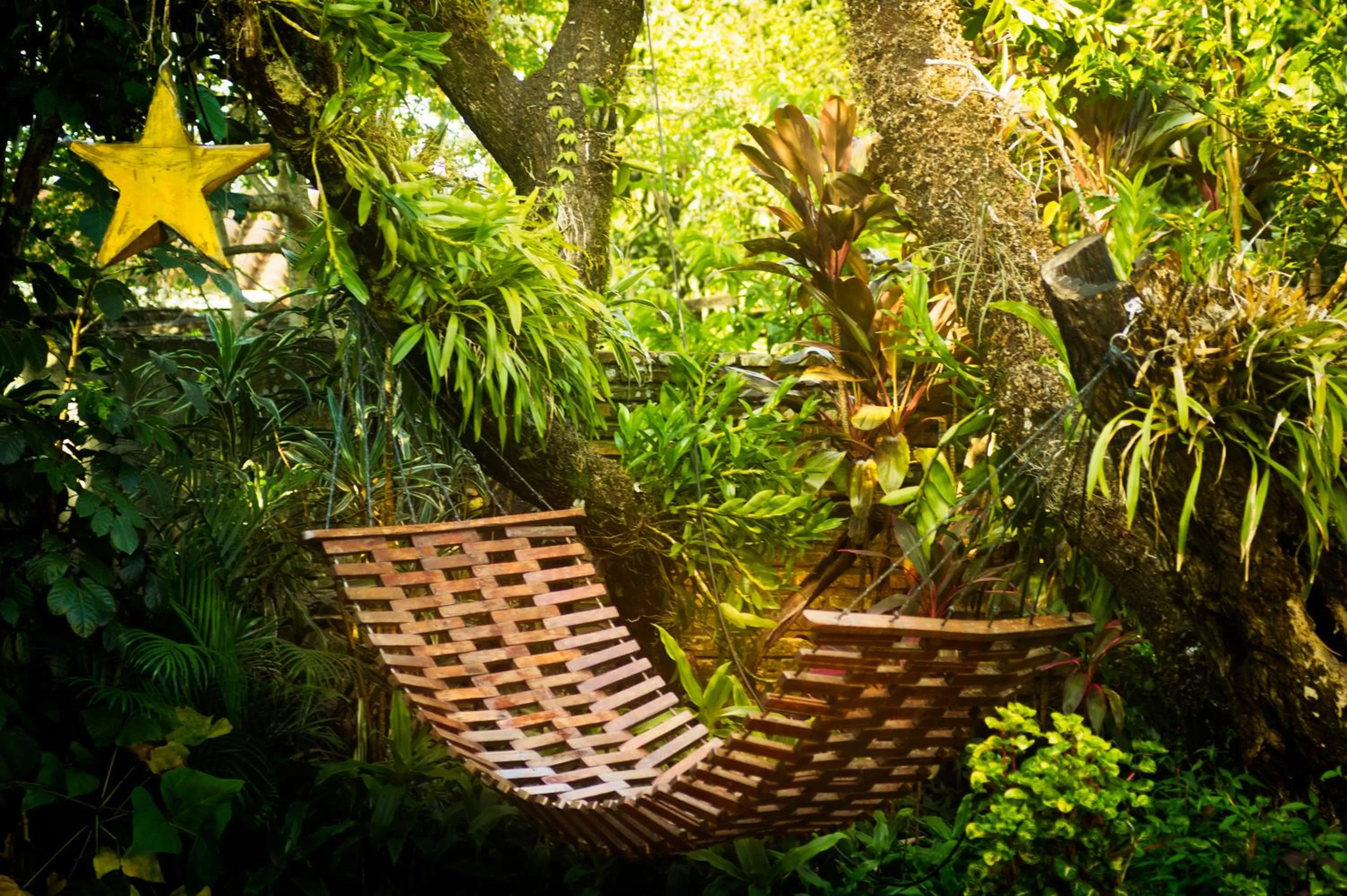 Garden in Las Orquideas Parque Hotel