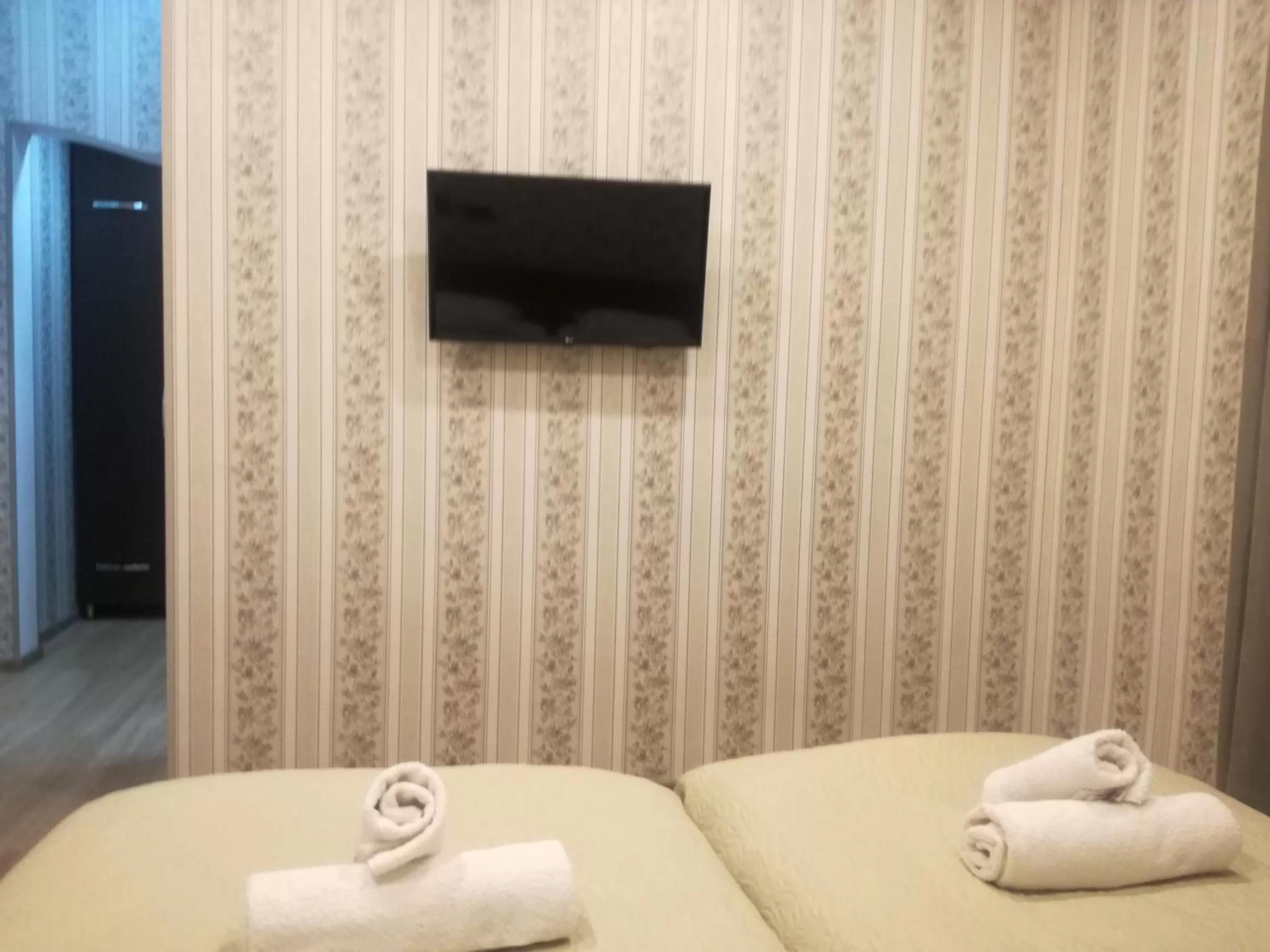 TV/Entertainment Center in Guest House Kakheti