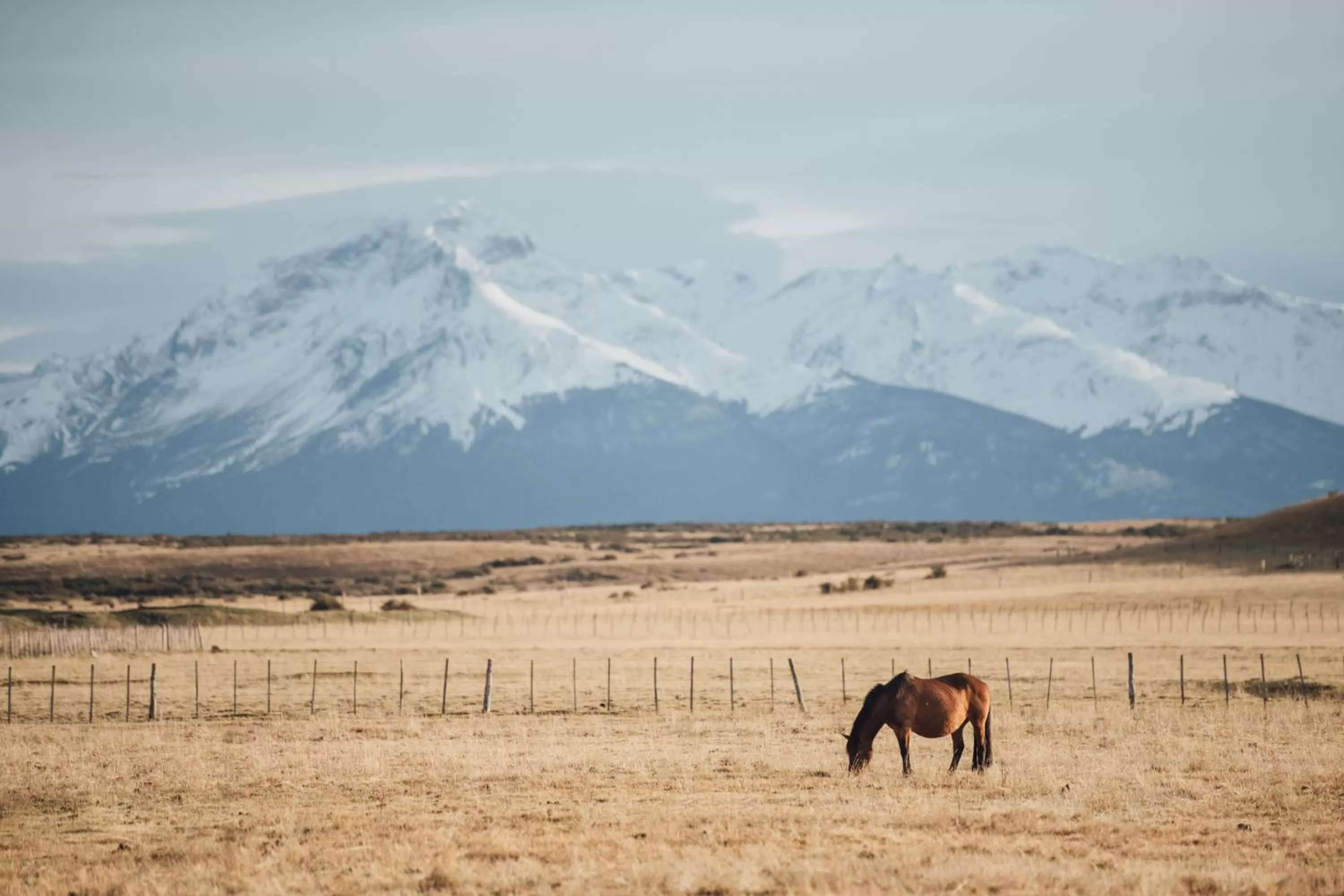 Day, Other Animals in Bories - Boutique Guest House