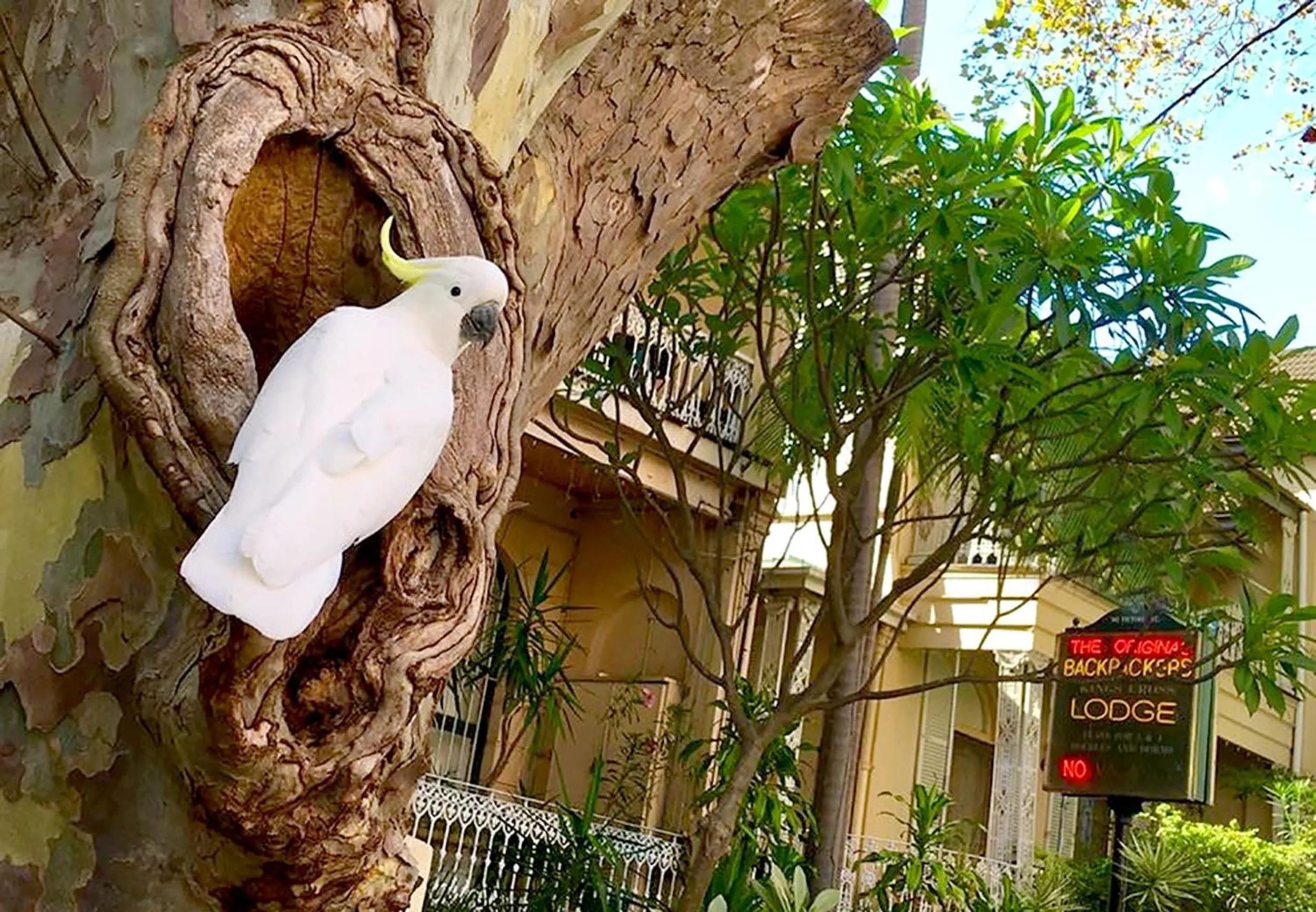 Facade/entrance in Original Backpackers