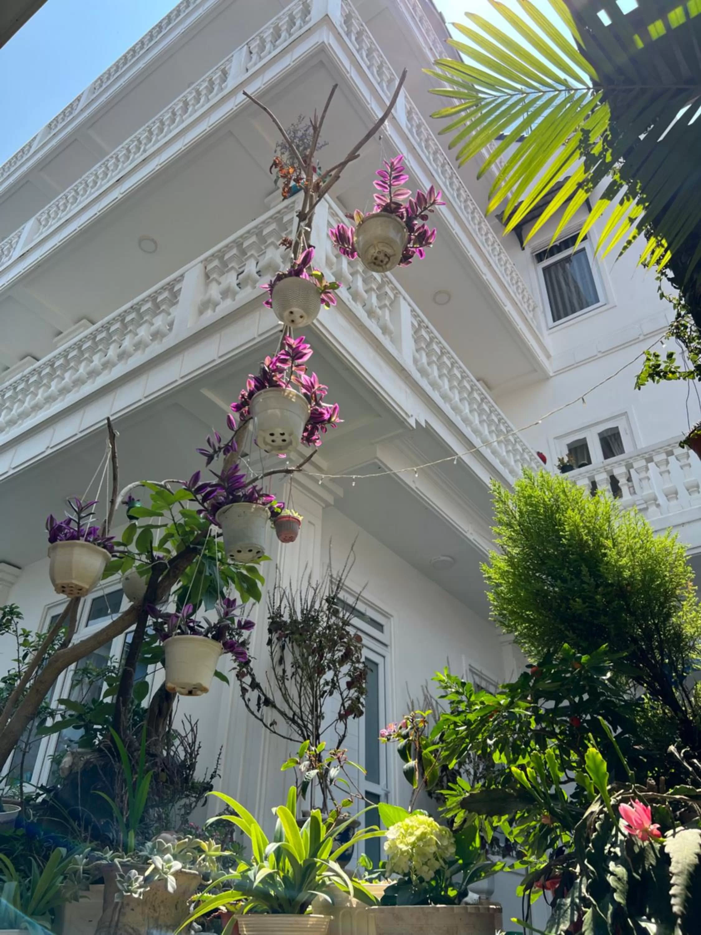 Garden view in Villa - Hotel Nam Khang 2 Dalat