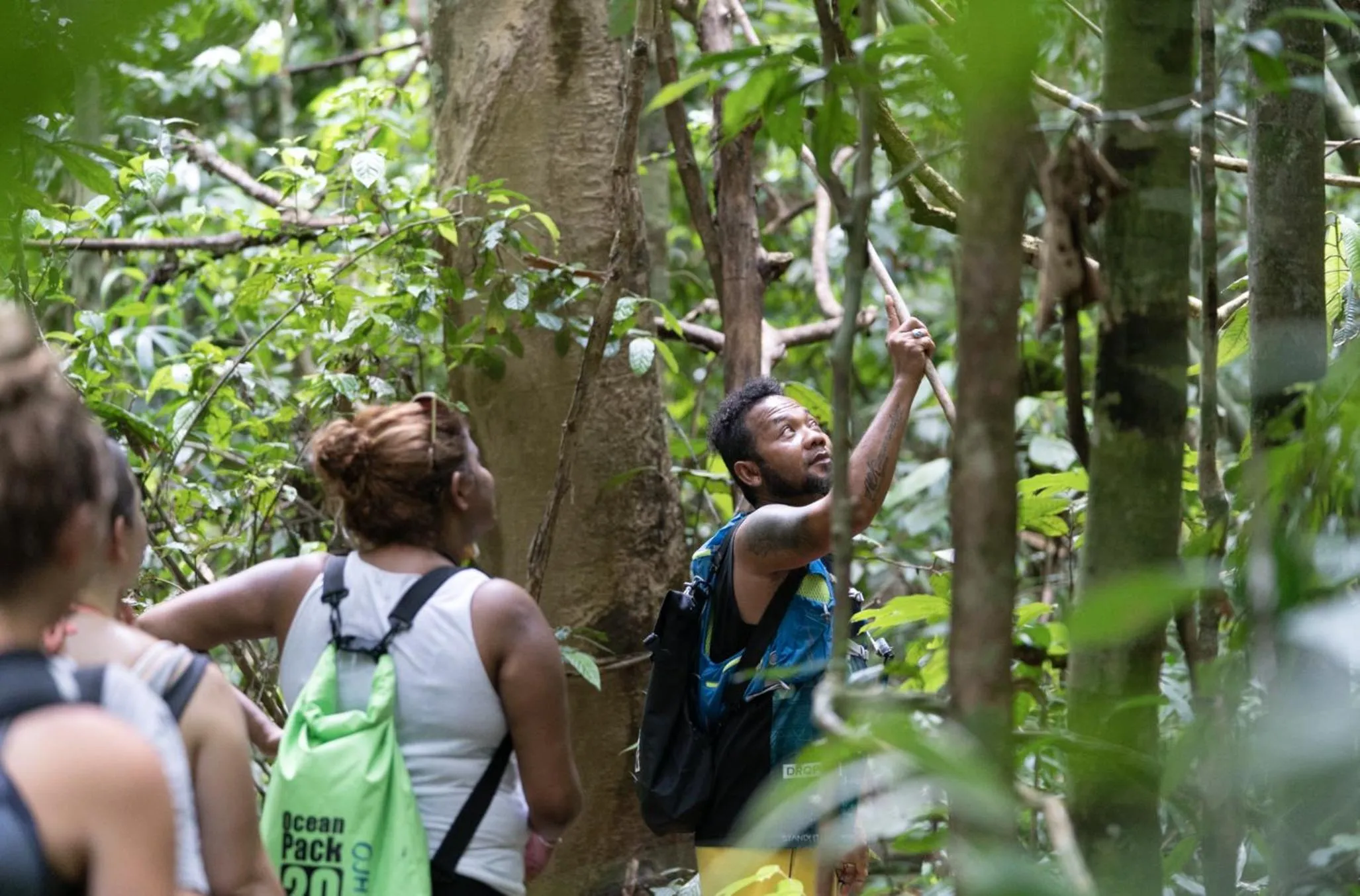 Off site in Our Jungle Camp - Eco Resort