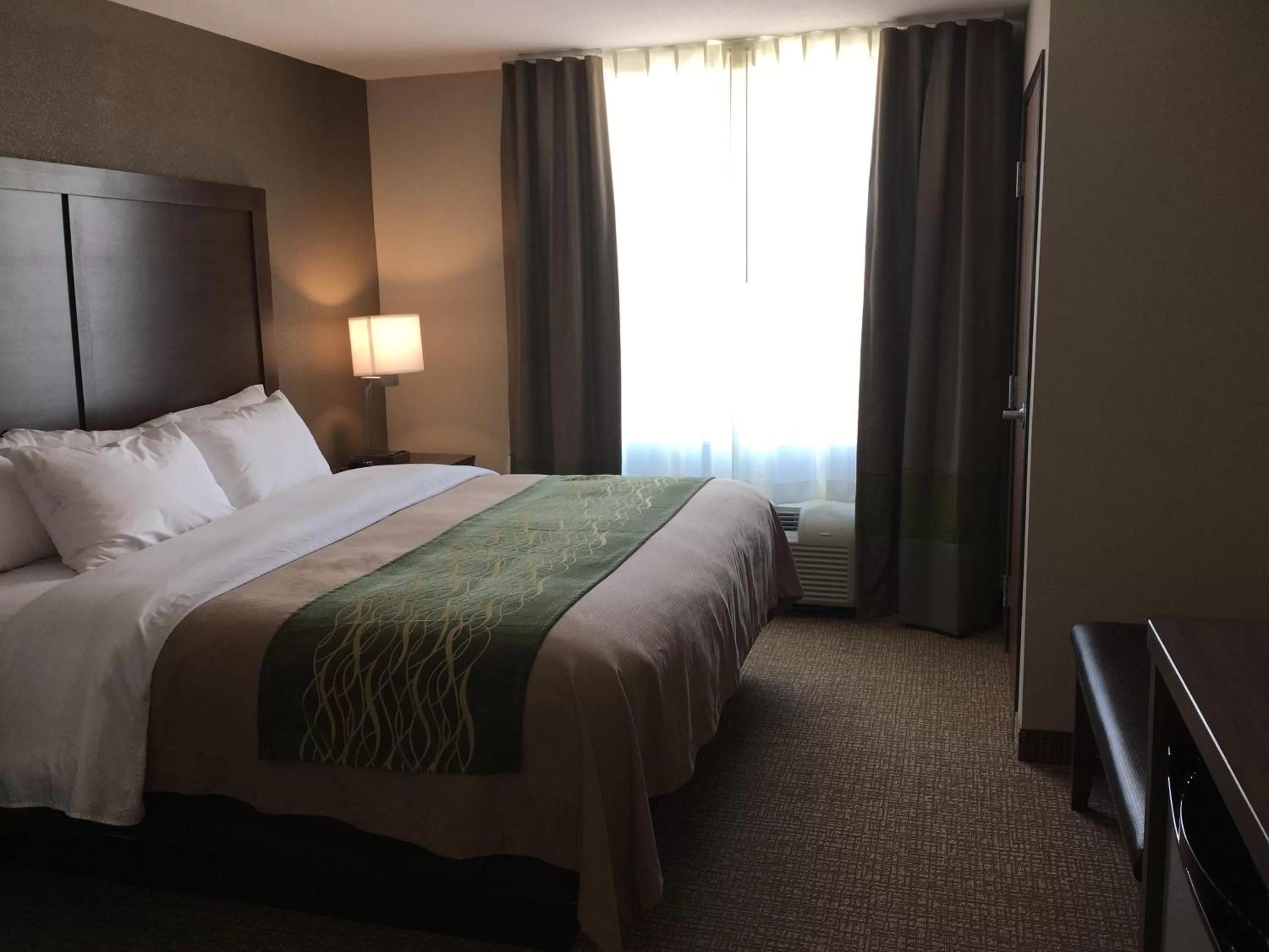 King Room - Disability Access/Non-Smoking in Comfort Inn & Suites Snyder