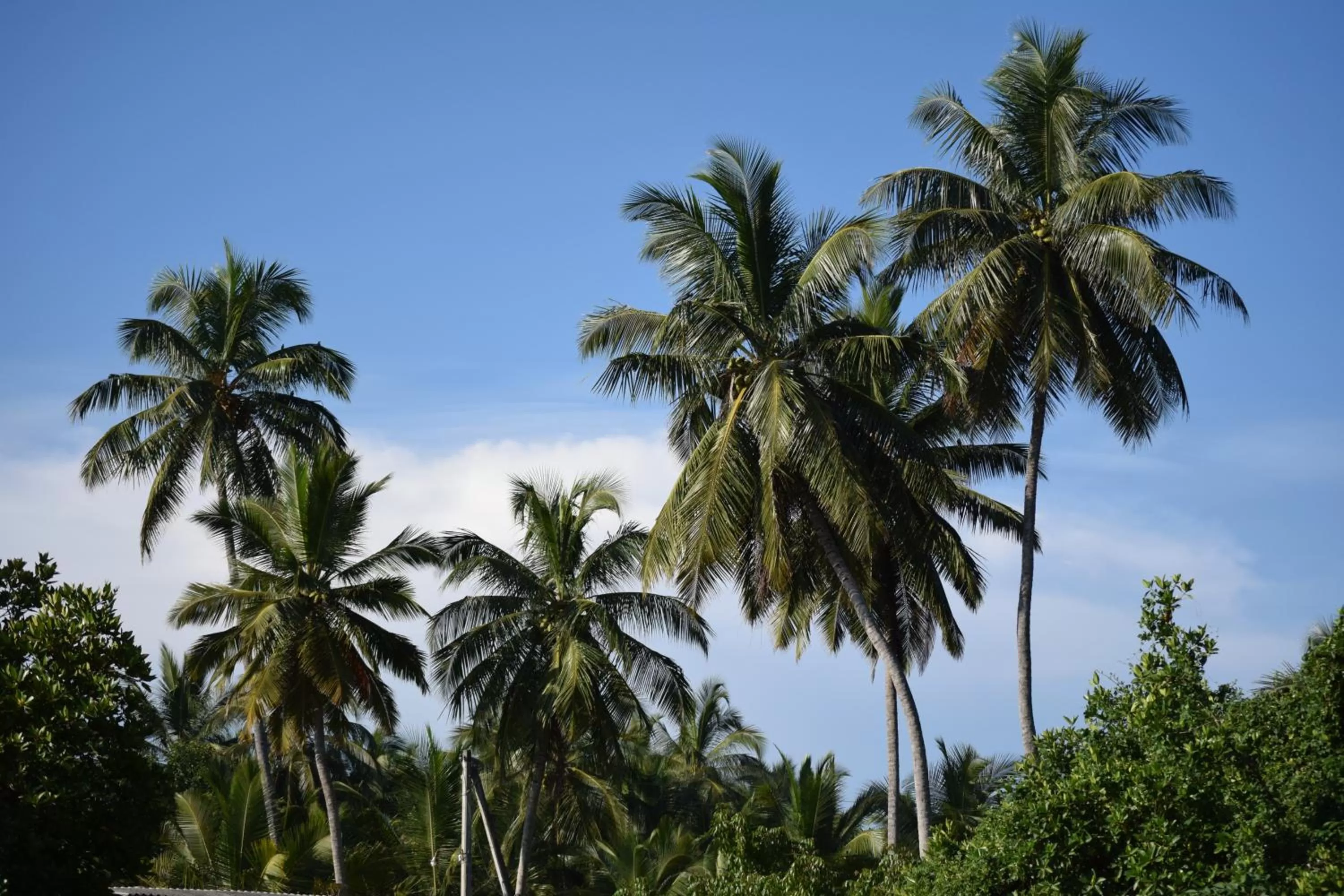 Day in Terrace Green Hotel and Spa - Free Airport Shuttle Service