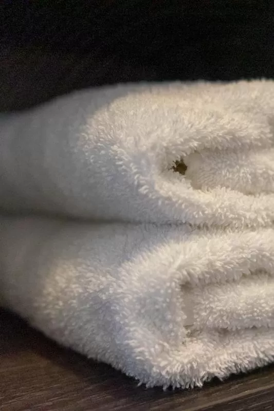 B&B de Wilhelminaschool