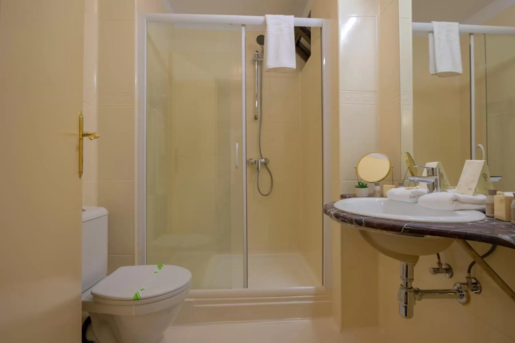 Shower in Hotel Sir Royal