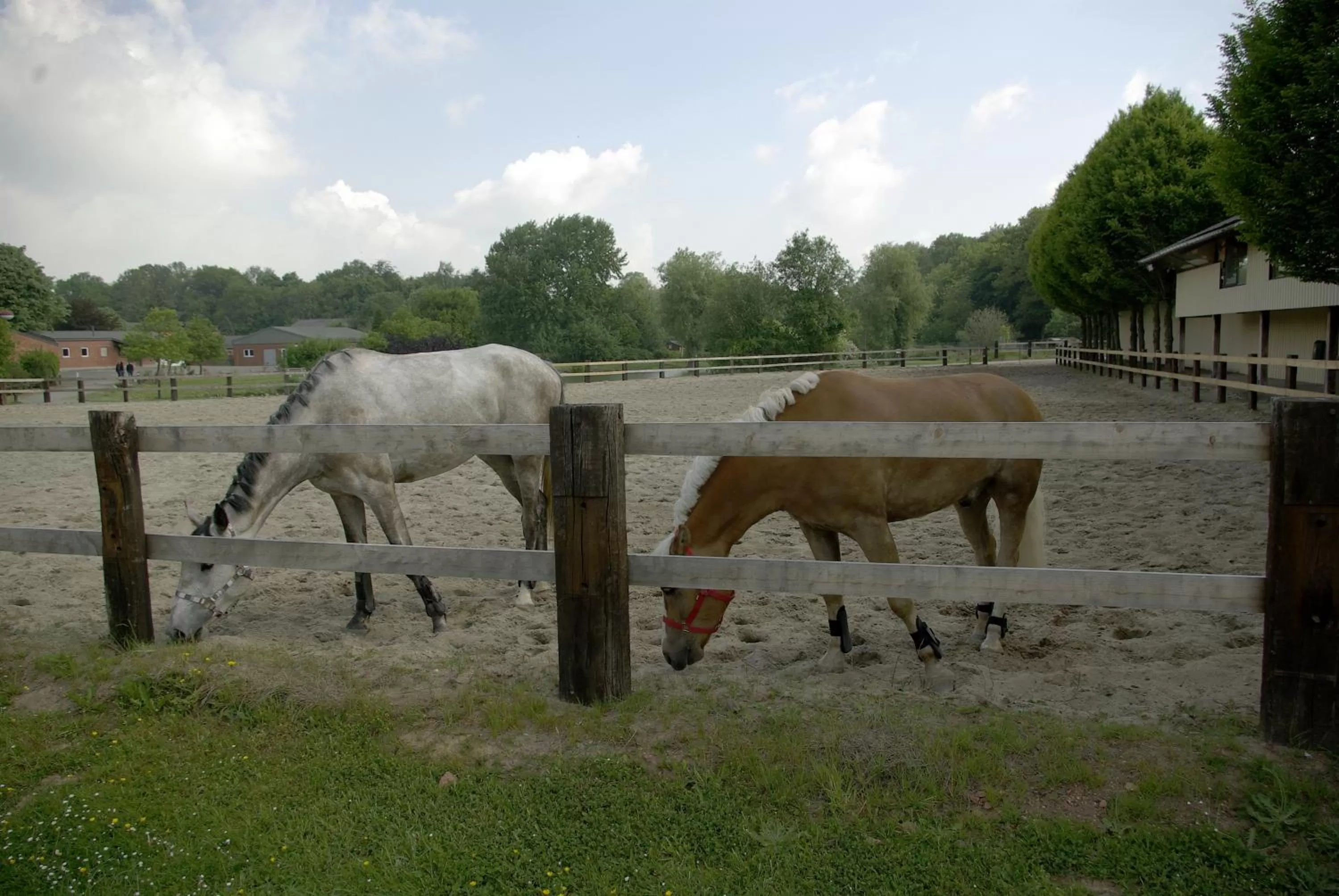 Facade/entrance, Other Animals in Le Relais De La Haute Sambre