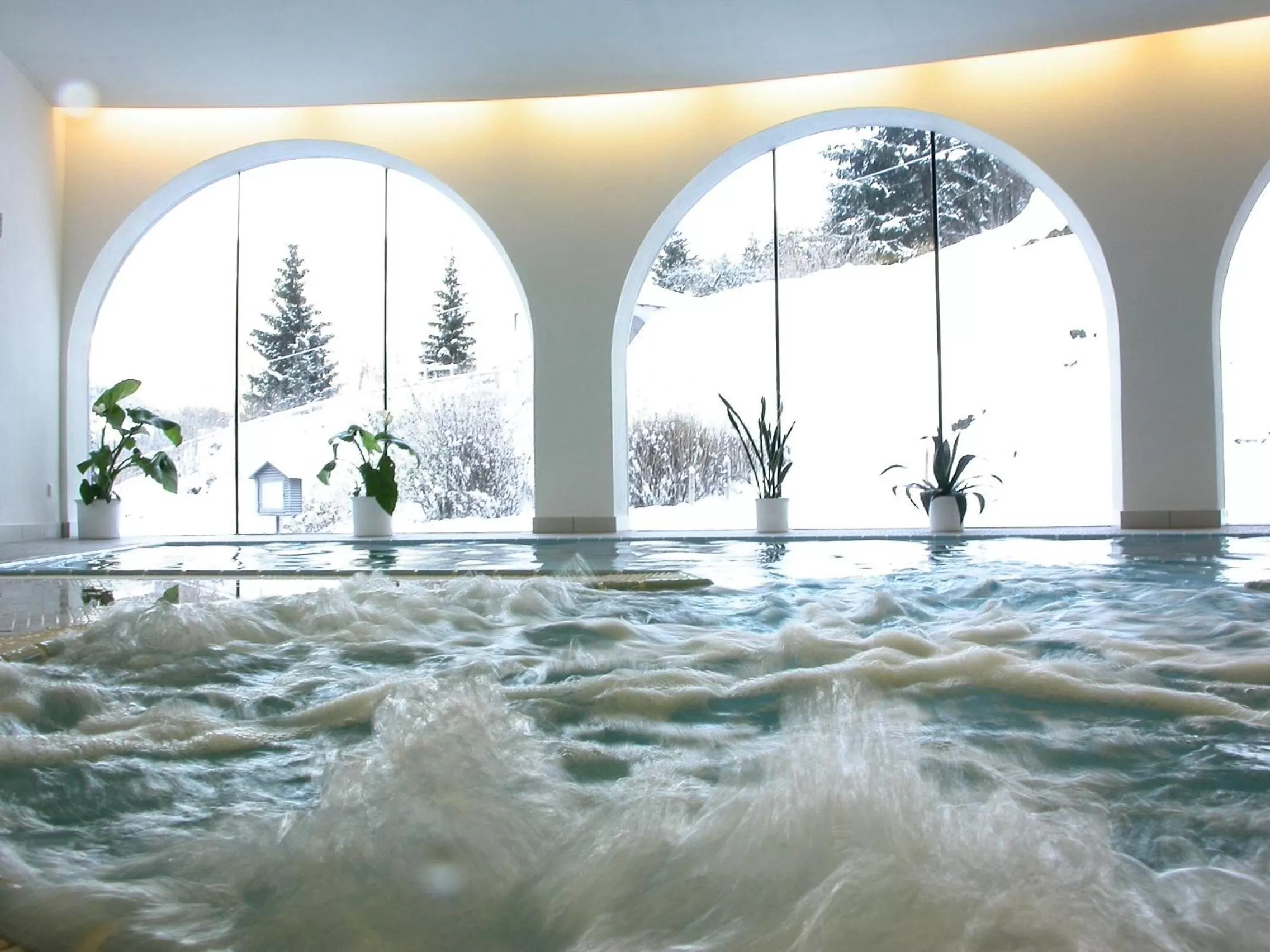 Hot Tub, Swimming Pool in Seehüter's Hotel Seerose