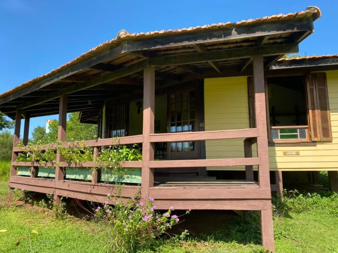 View (from property/room) in Hotel Santa Esmeralda