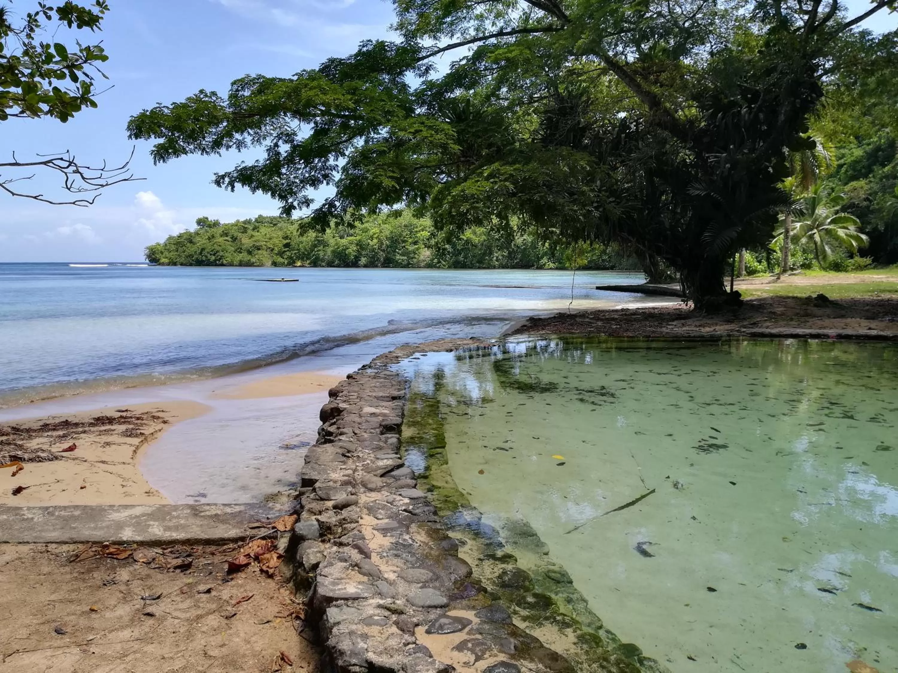 Natural landscape in TOGA GUEST HOUSE