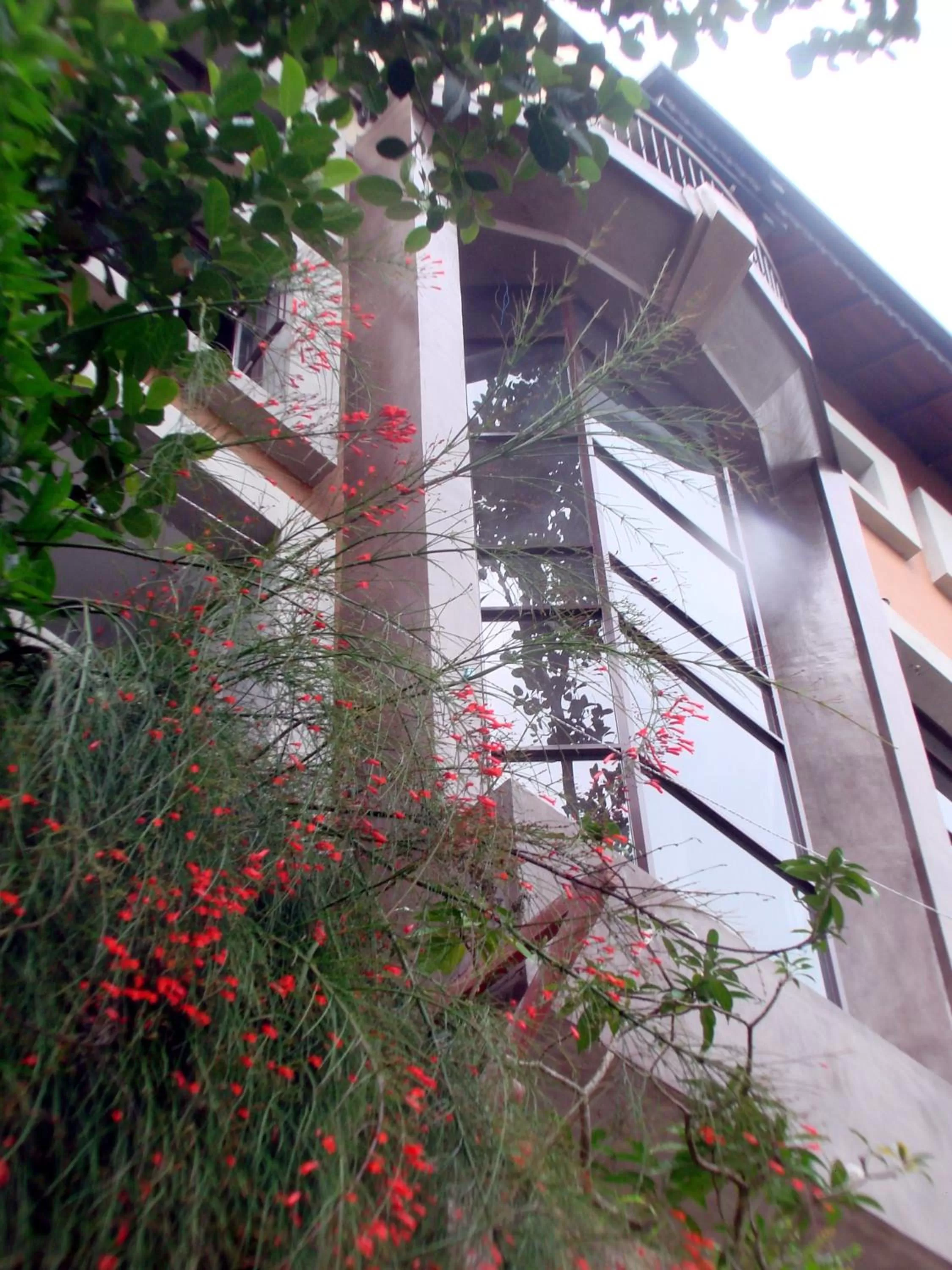 Property building in Piumara Residence