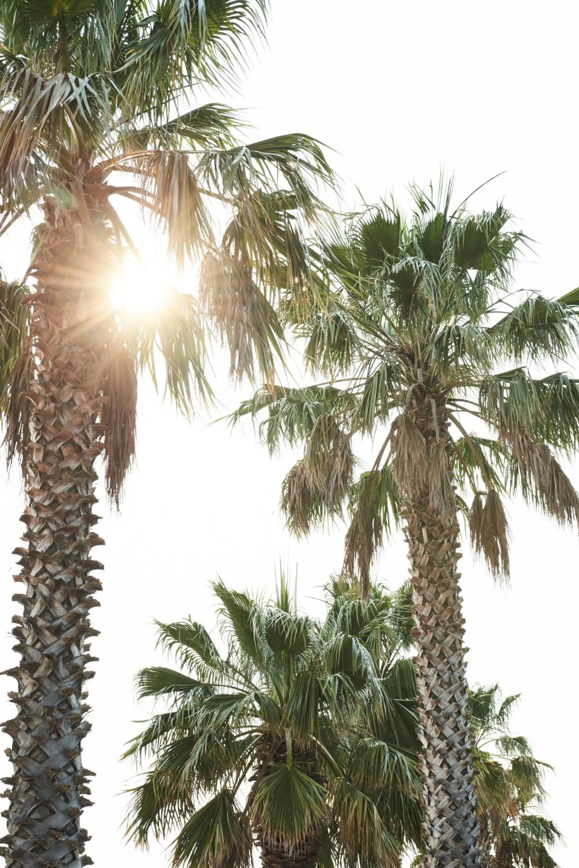 Natural landscape in Anchor Geelong