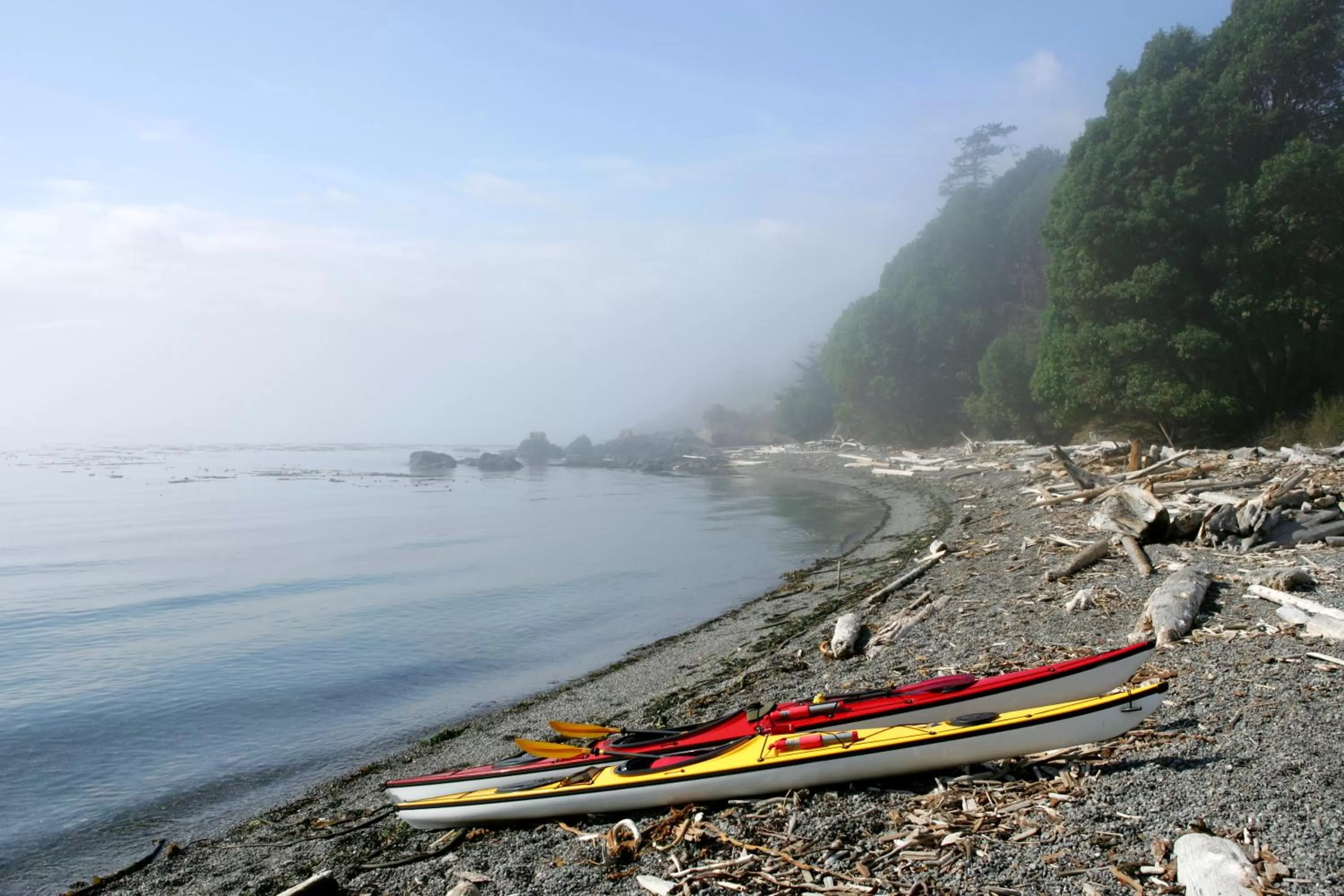 Area and facilities in Island Inn at 123 West