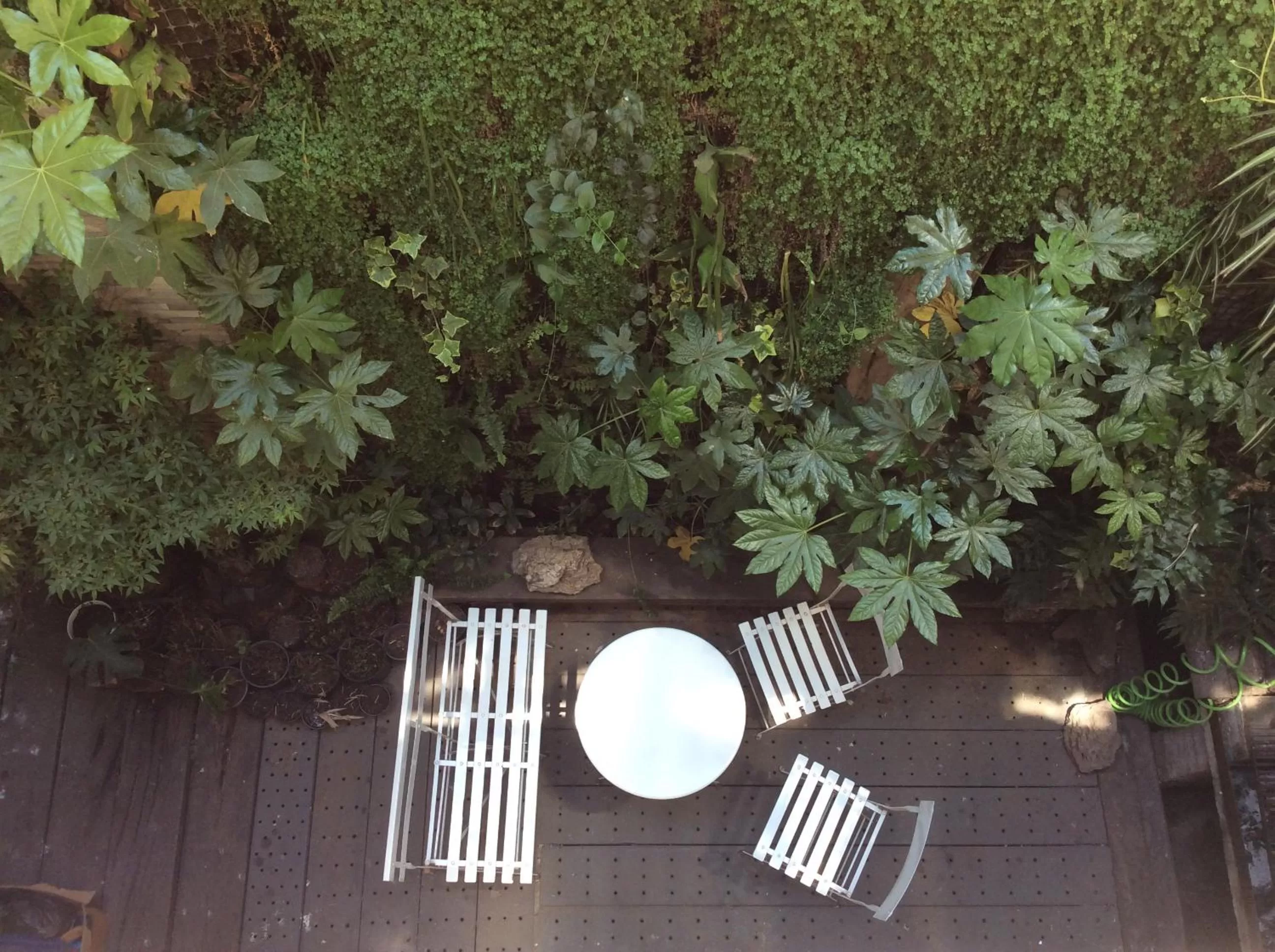 Patio in CASA LUCRECIA