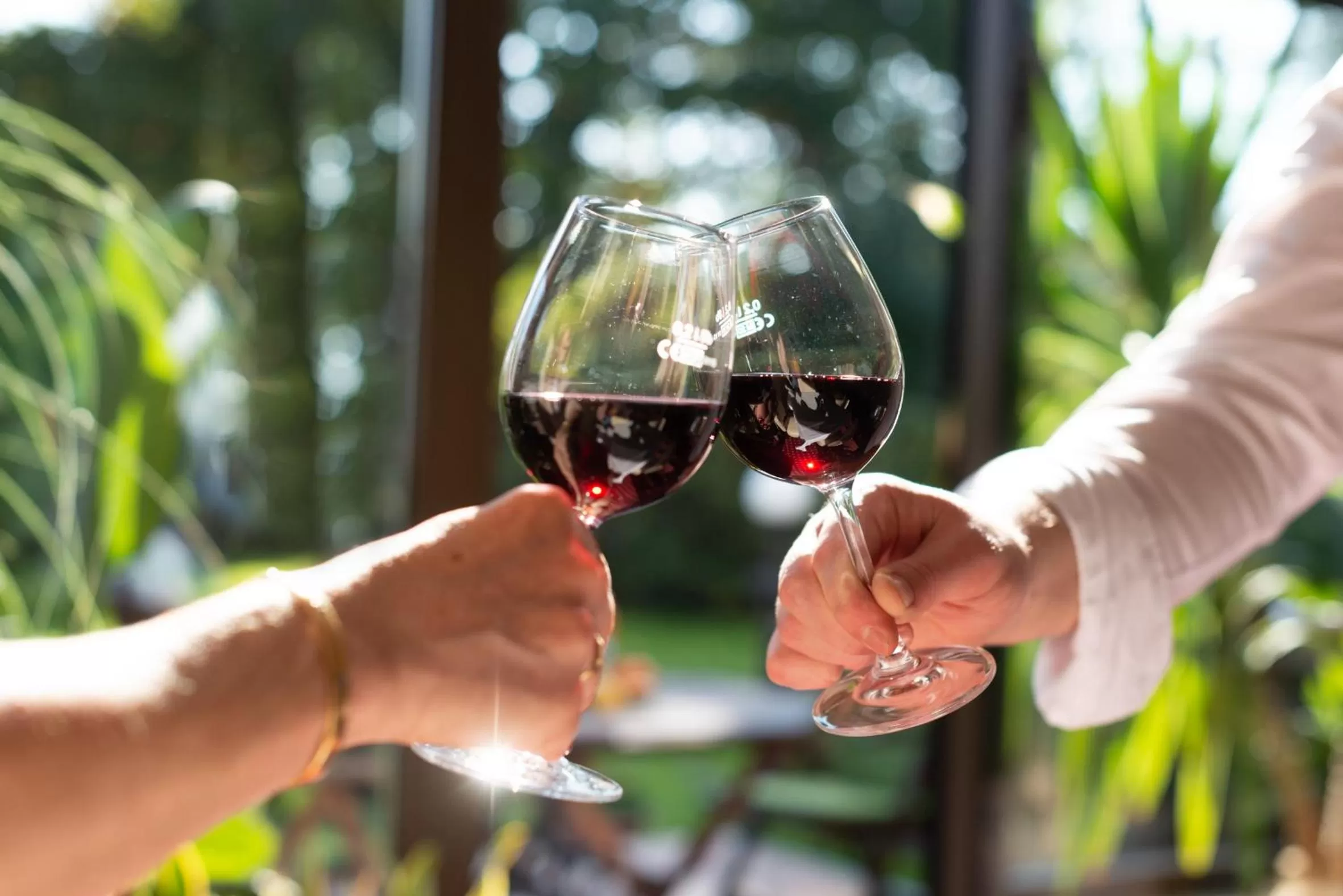 Restaurant/places to eat in Hotel Haus am Zoo