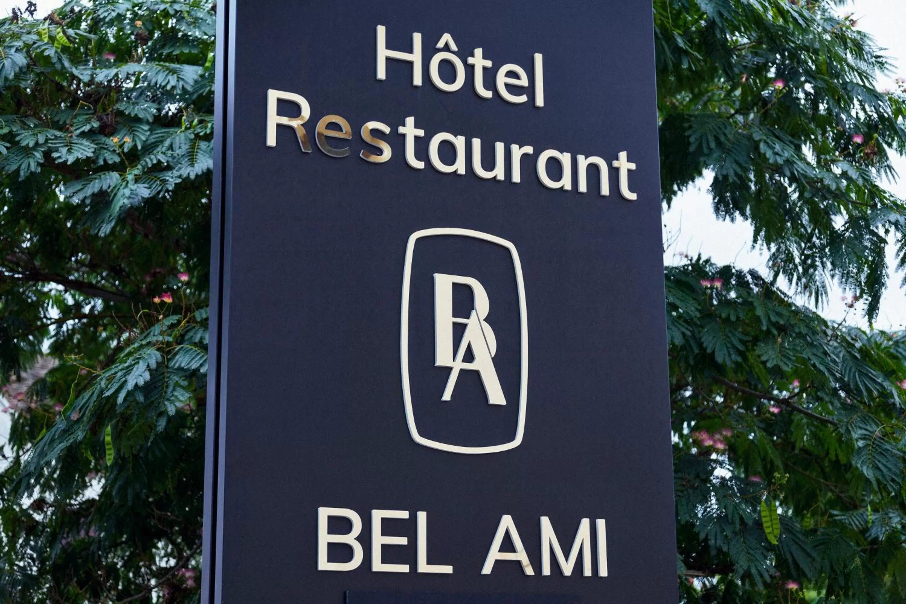 Property logo or sign in Hôtel-Restaurant Bel Ami