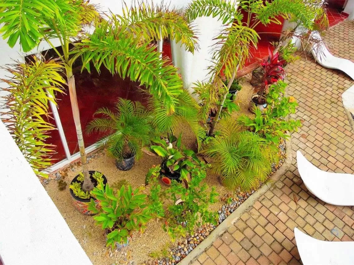 Garden in Hotel Berny