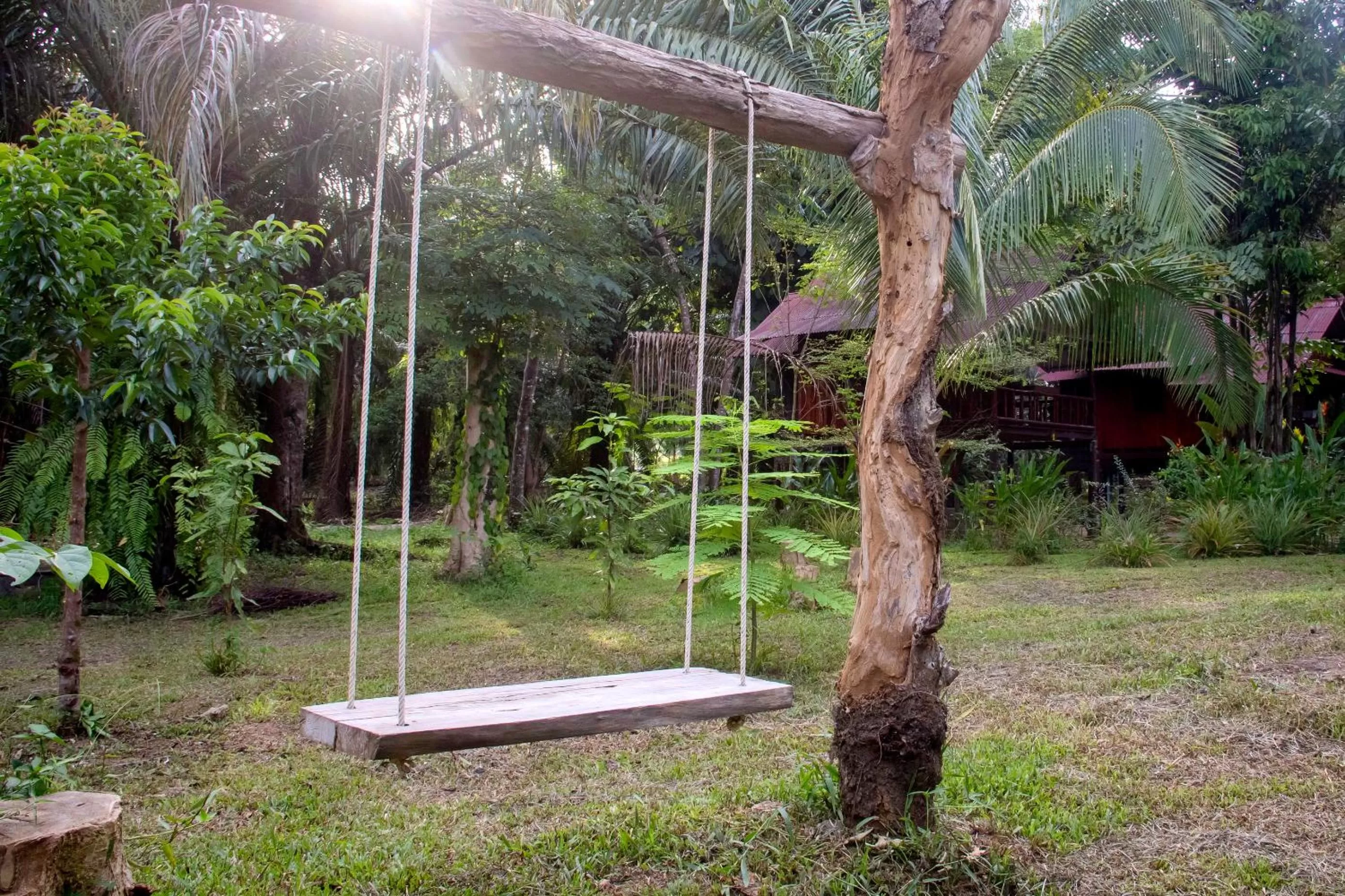 Garden in Khao Sok Palmview Resort
