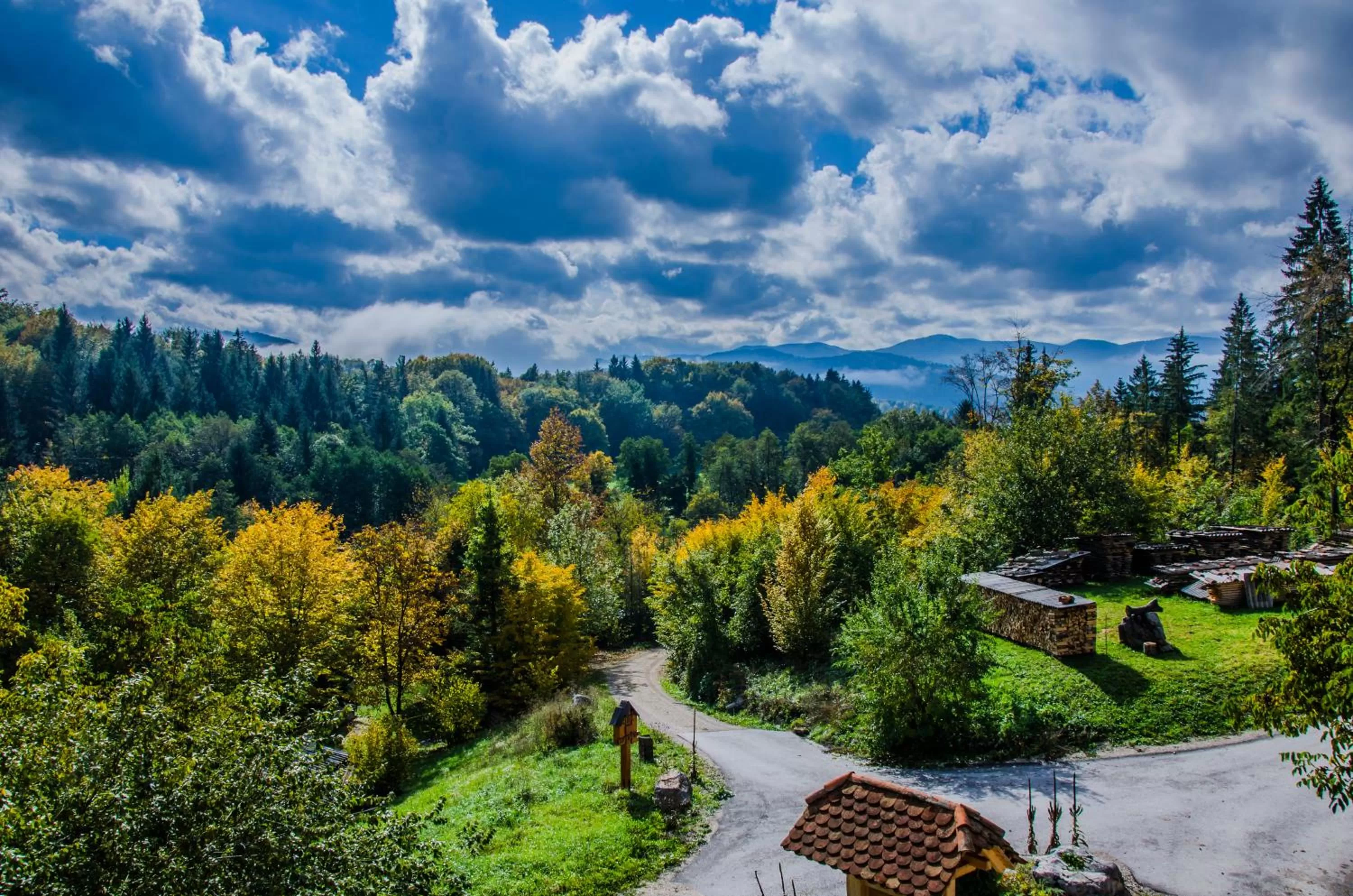 View (from property/room) in Miškar Rooms