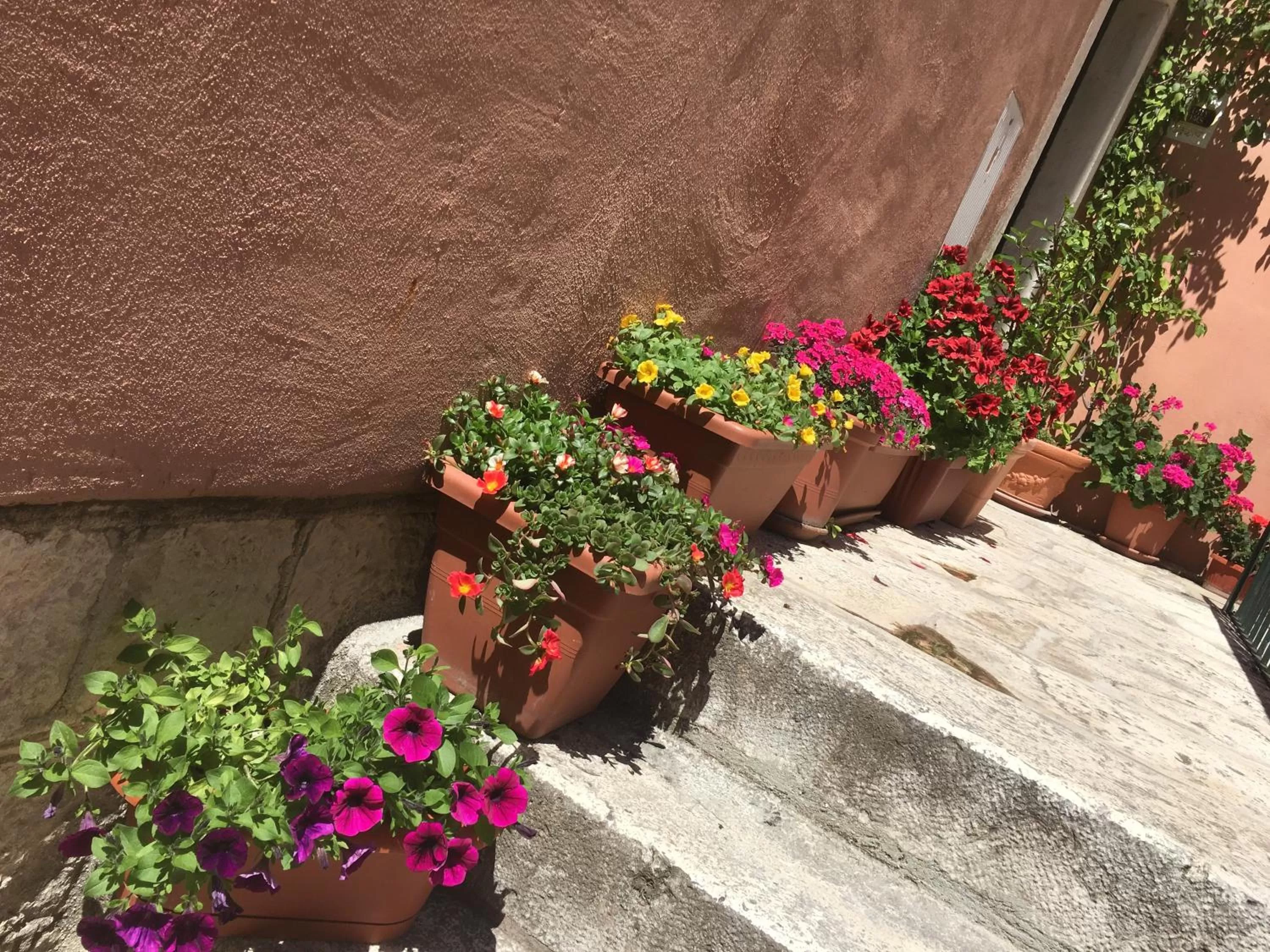 Patio in Romantic Luxury Rooms
