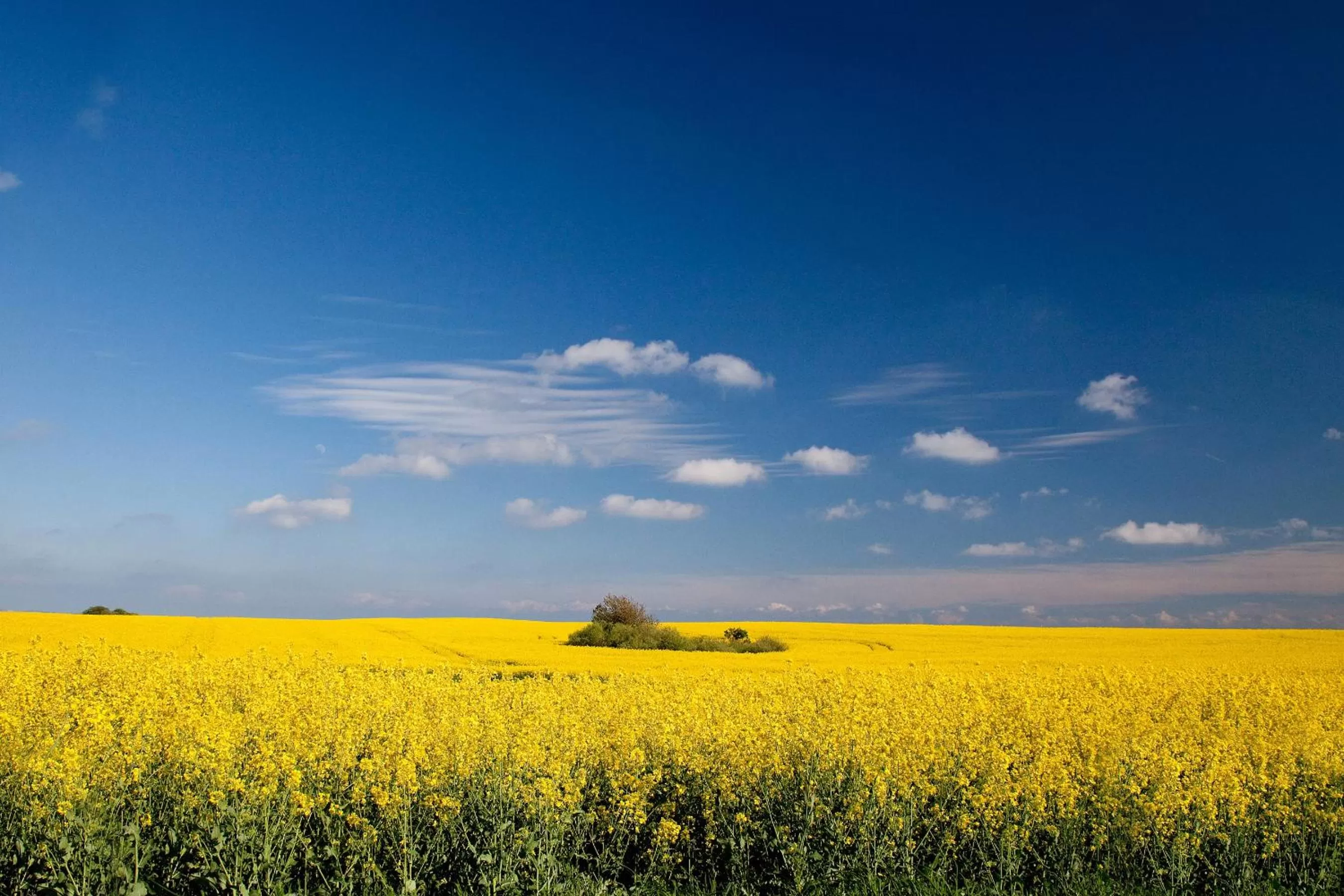 Hiking, Natural Landscape in Hotel Garni Getreuer Eckart