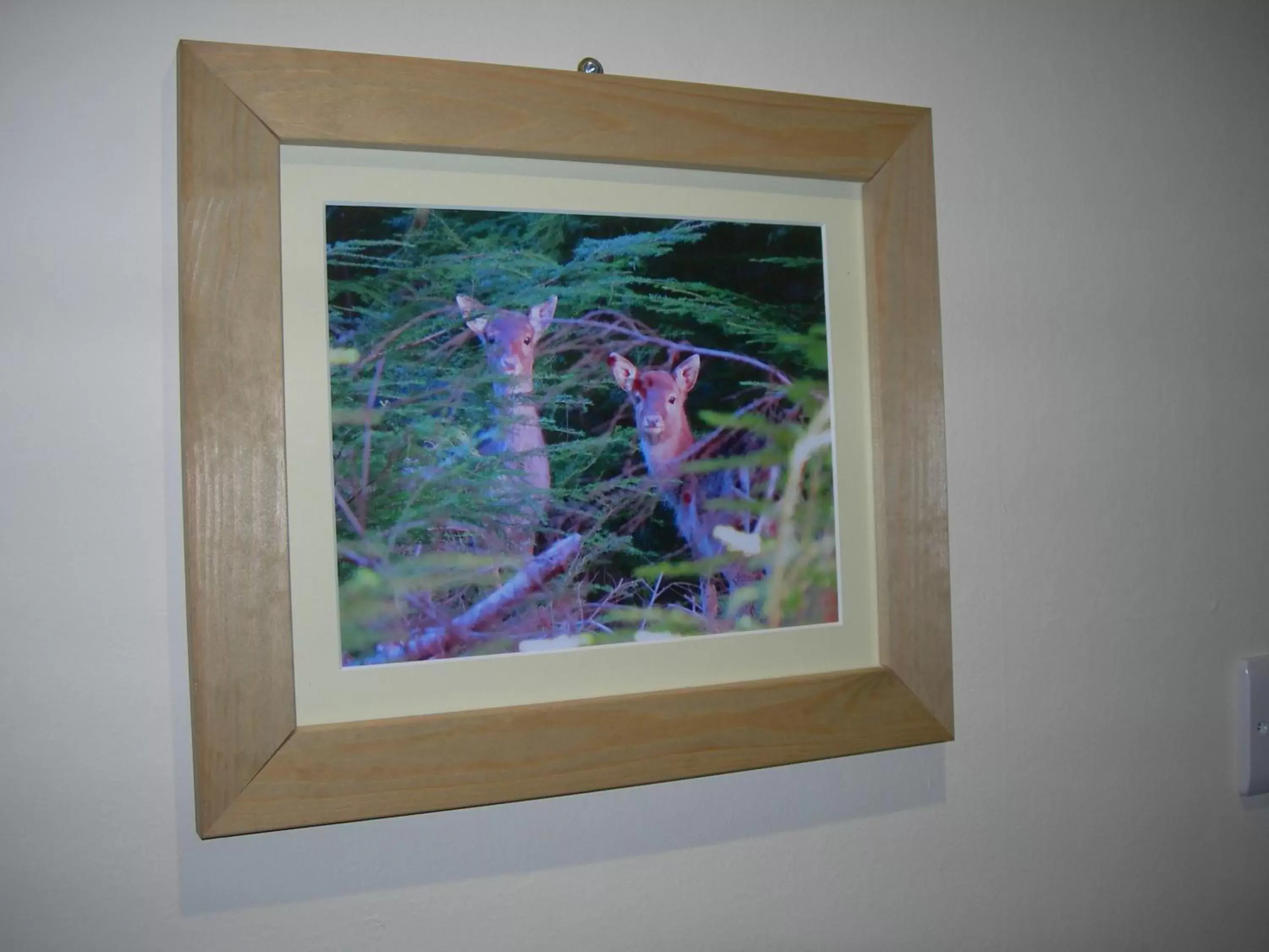 Standard Double Room in The Swan Hotel Standard Double Room in The Swan Hotel