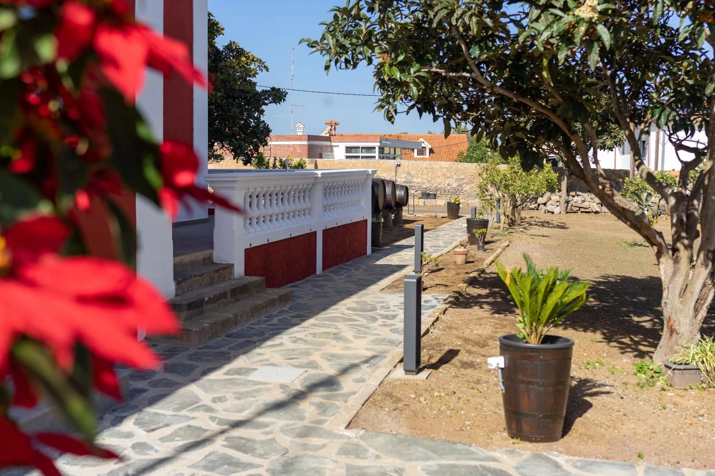 Off site in Albor Suites