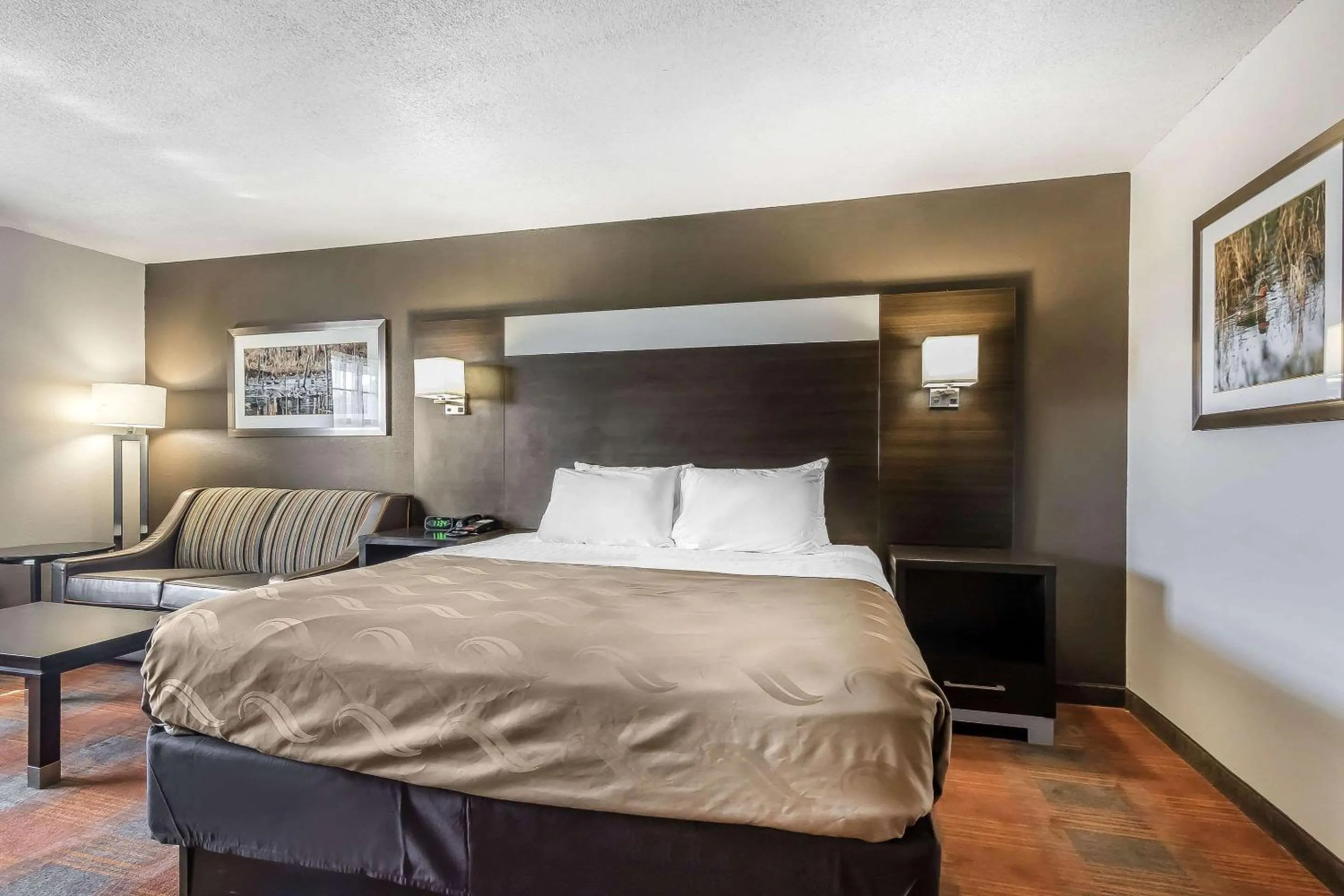 Photo of the whole room, Bed in Quality Inn & Suites Stuttgart North