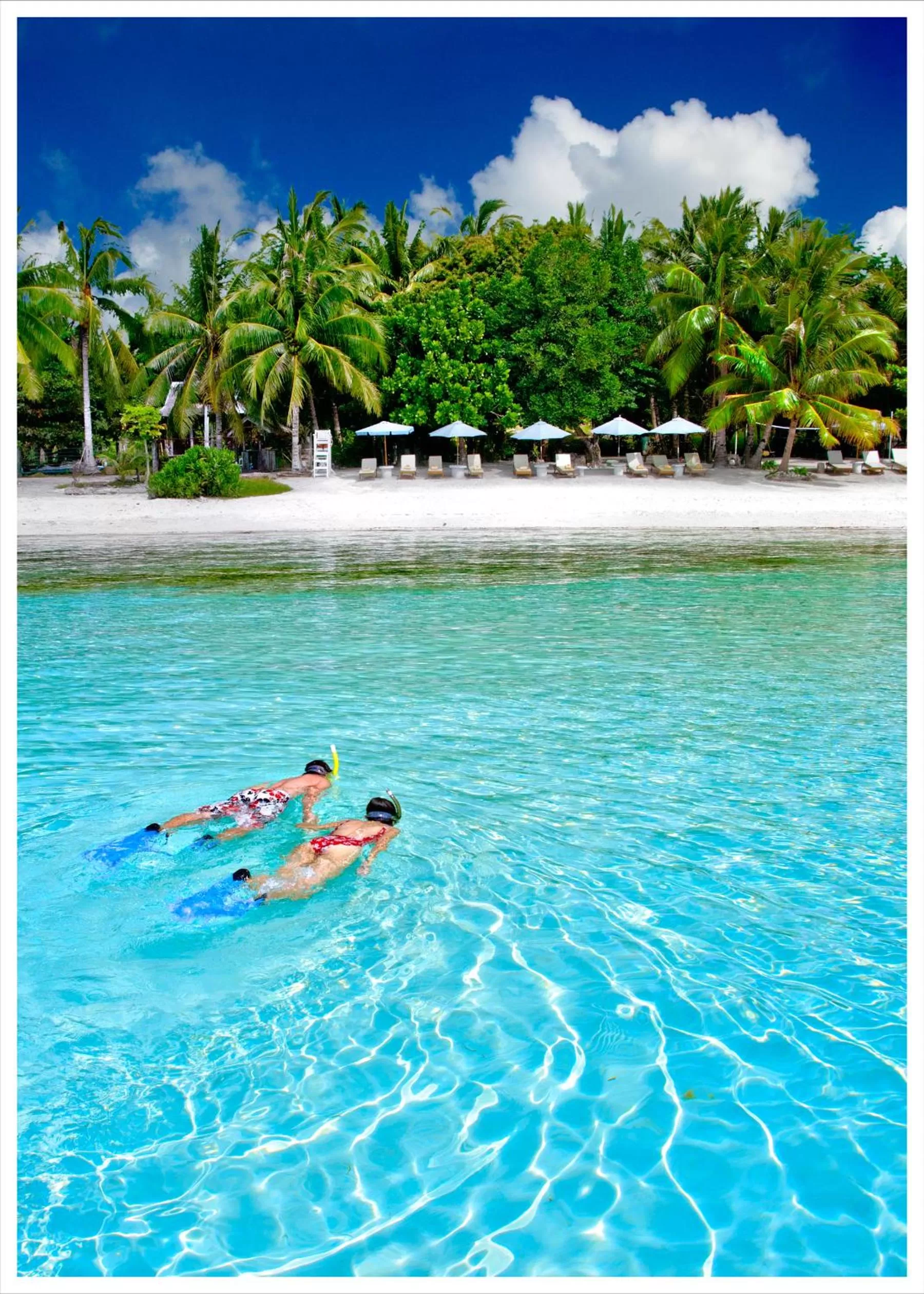 Day in Amarela Resort